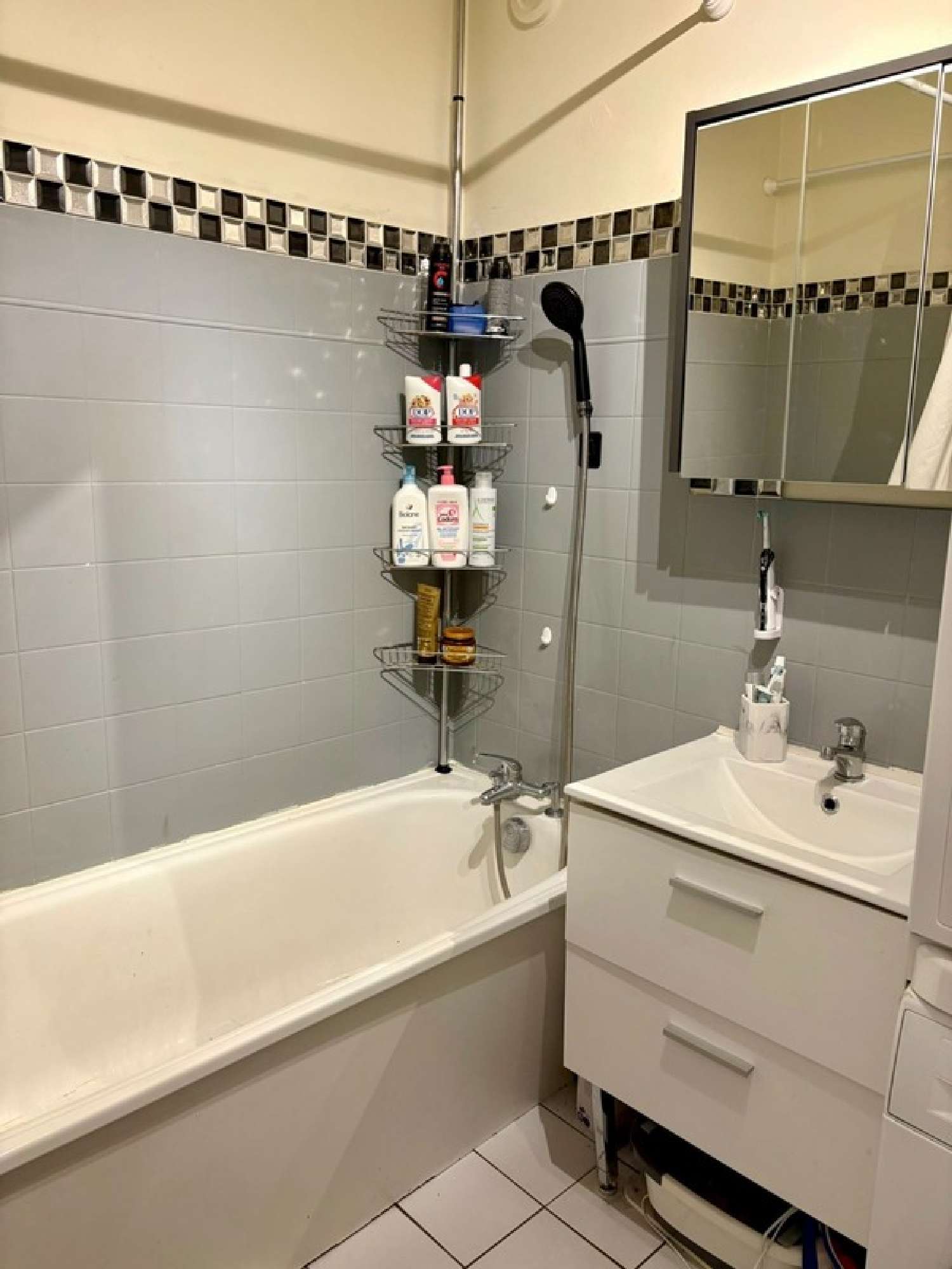  te koop appartement Fresnes Val-de-Marne 7