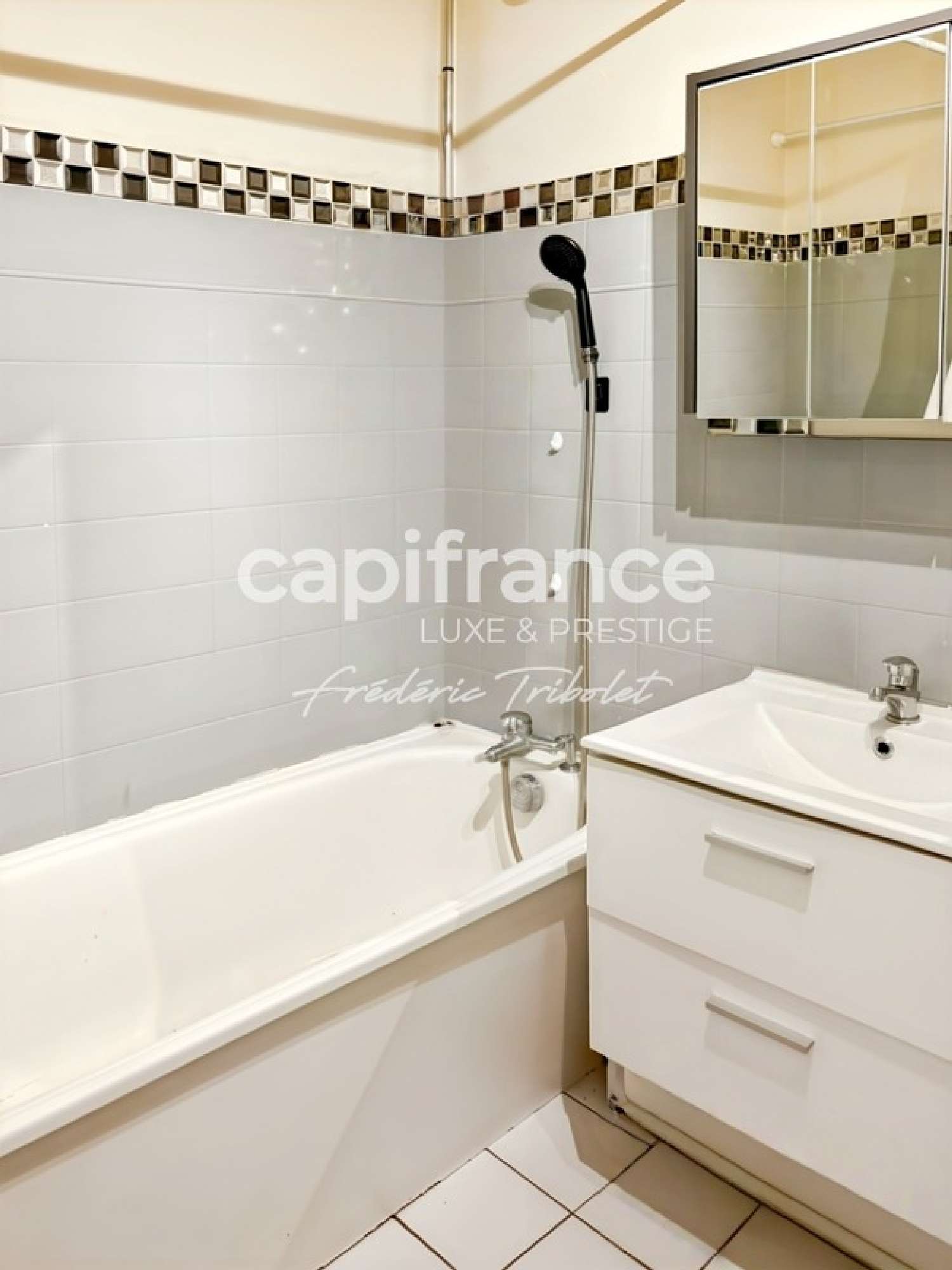  à vendre appartement Fresnes Val-de-Marne 6