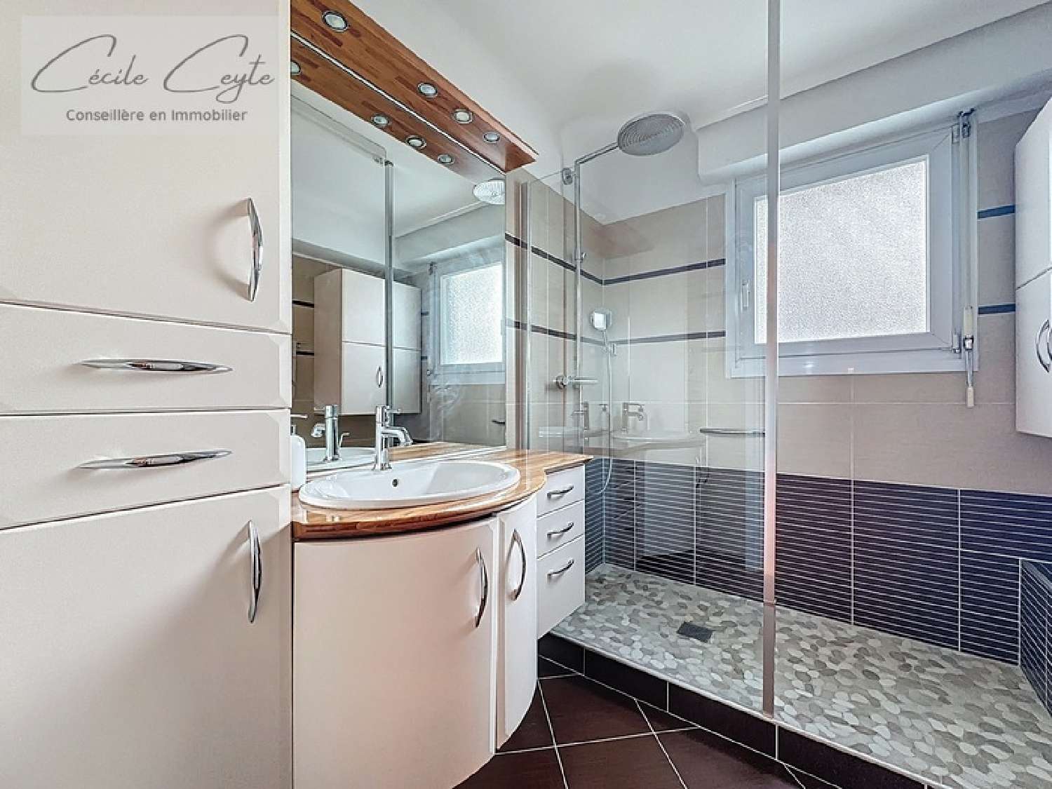  à vendre appartement Grenoble Isère 8