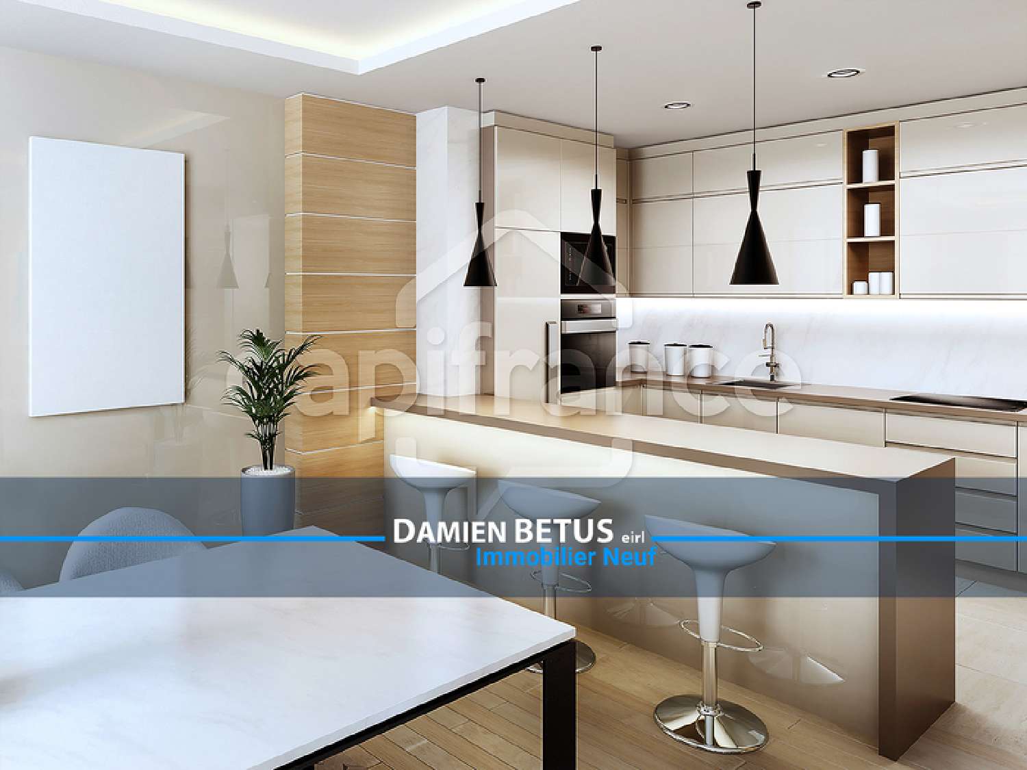  à vendre appartement Le Fenouiller Vendée 1