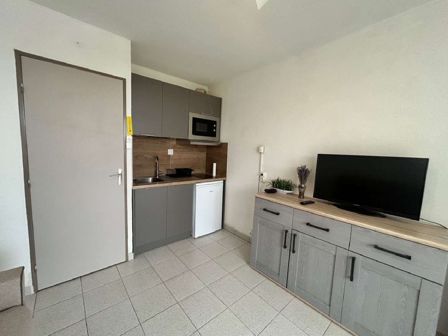  te koop appartement Le Grau-du-Roi Gard 5