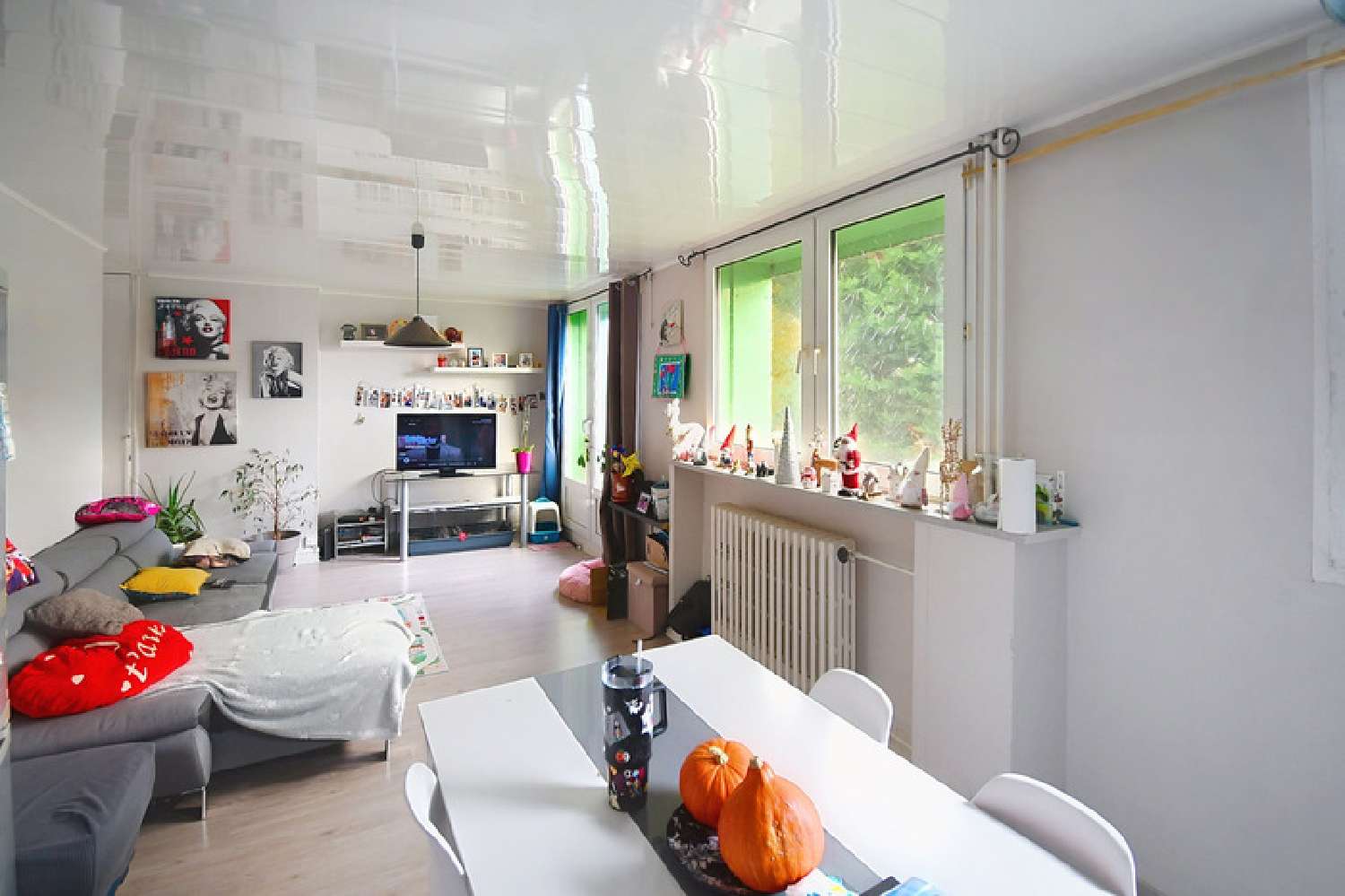  te koop appartement Longuyon Meurthe-et-Moselle 6