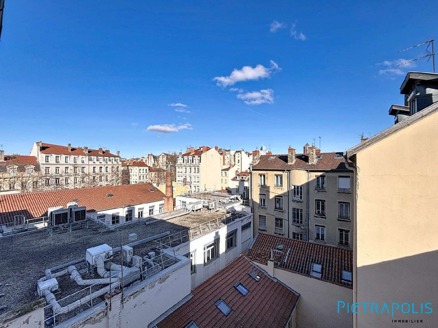 te koop appartement Lyon 7e Arrondissement Rhône 4