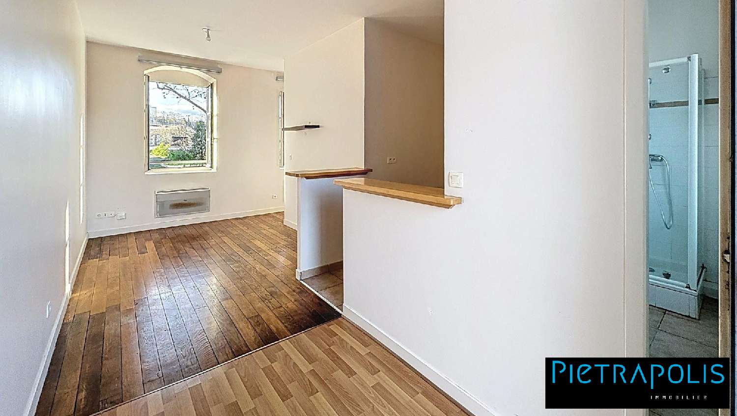  te koop appartement Lyon 9e Arrondissement Rhône 1