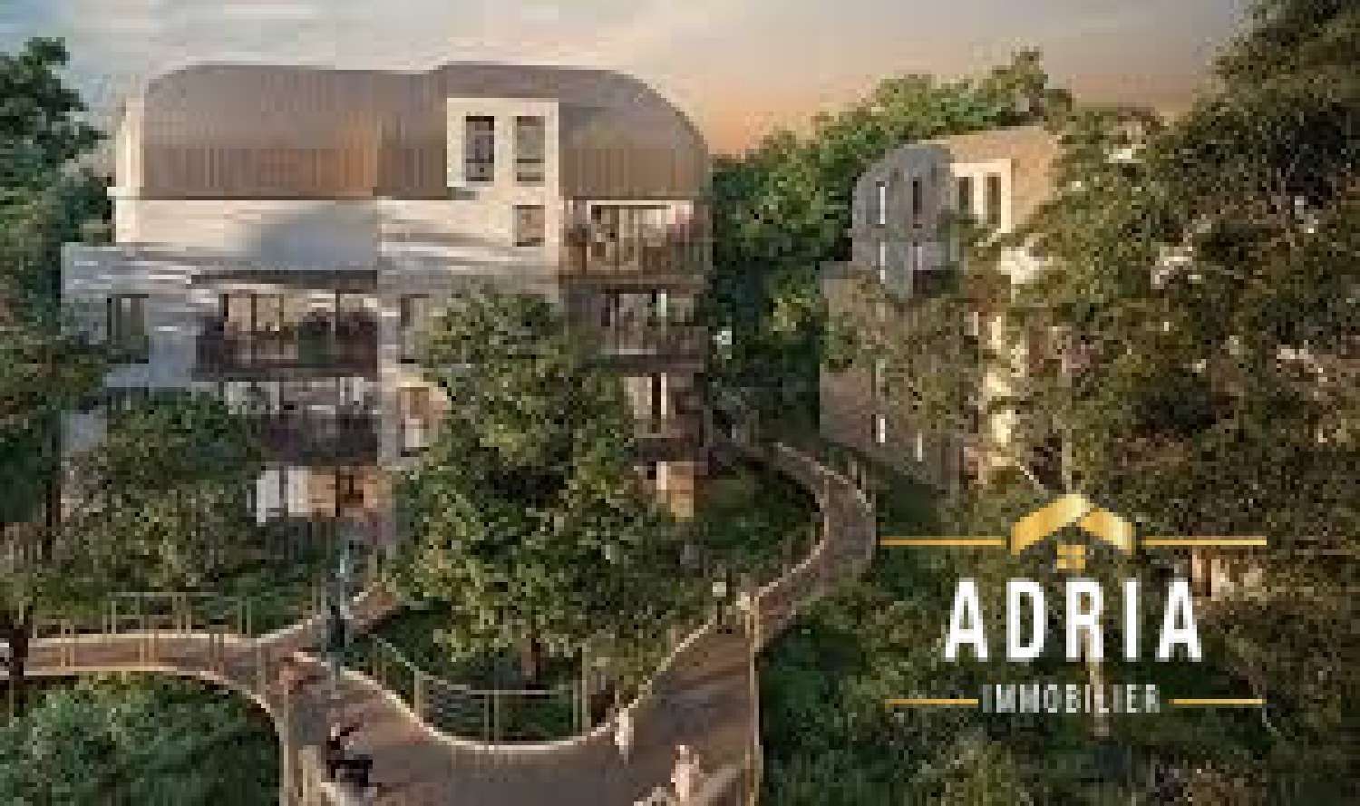  te koop appartement Maisons-Alfort Val-de-Marne 1