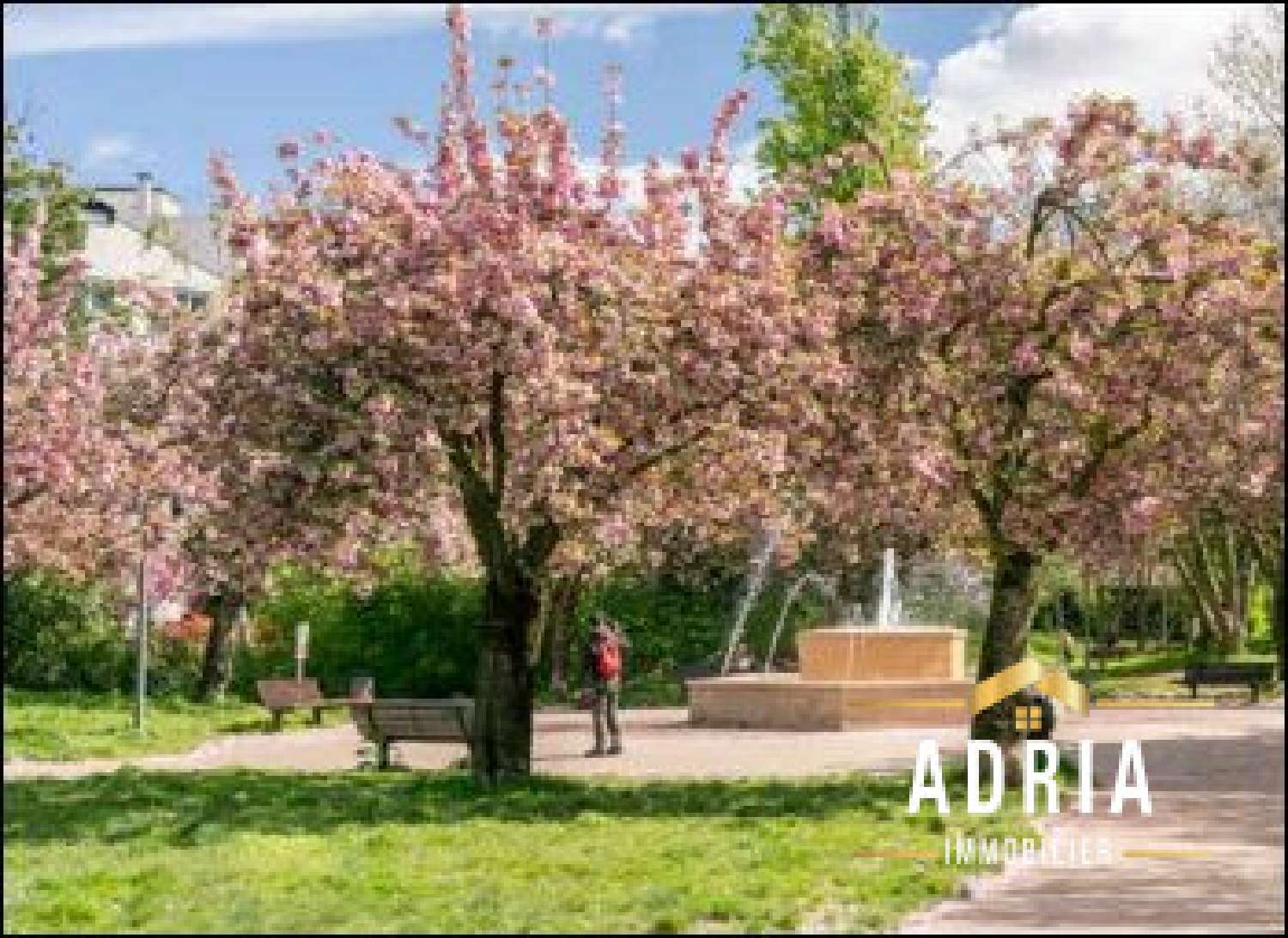  te koop appartement Maisons-Alfort Val-de-Marne 7