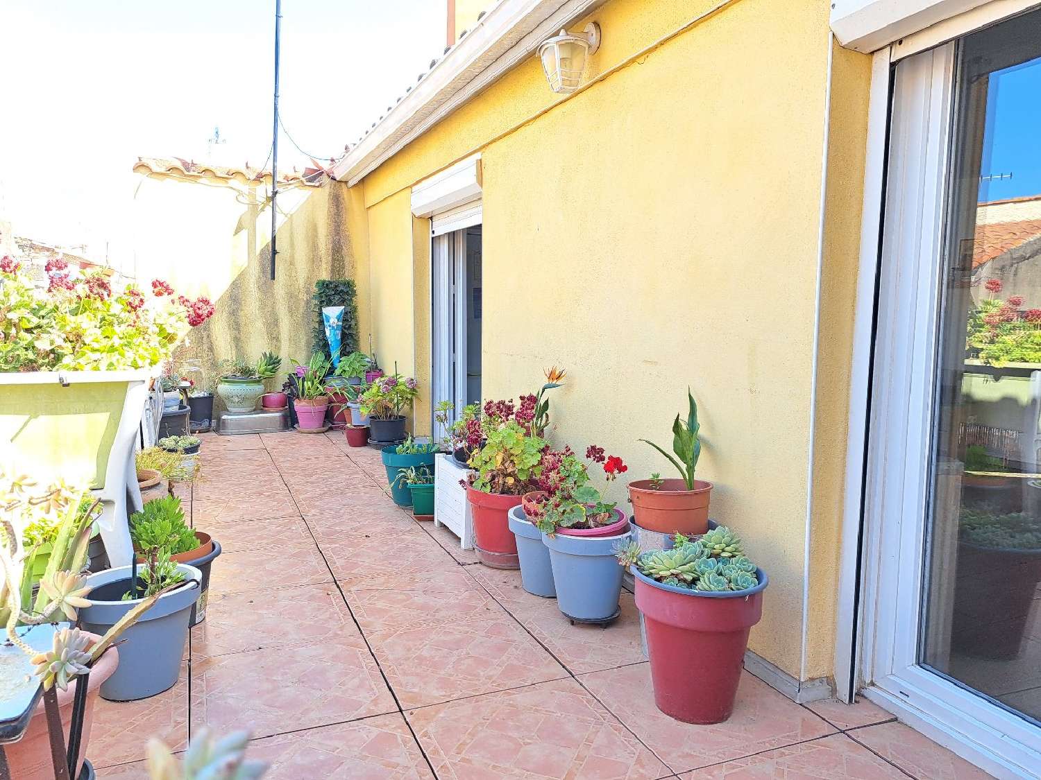  à vendre appartement Marseillan Hérault 5