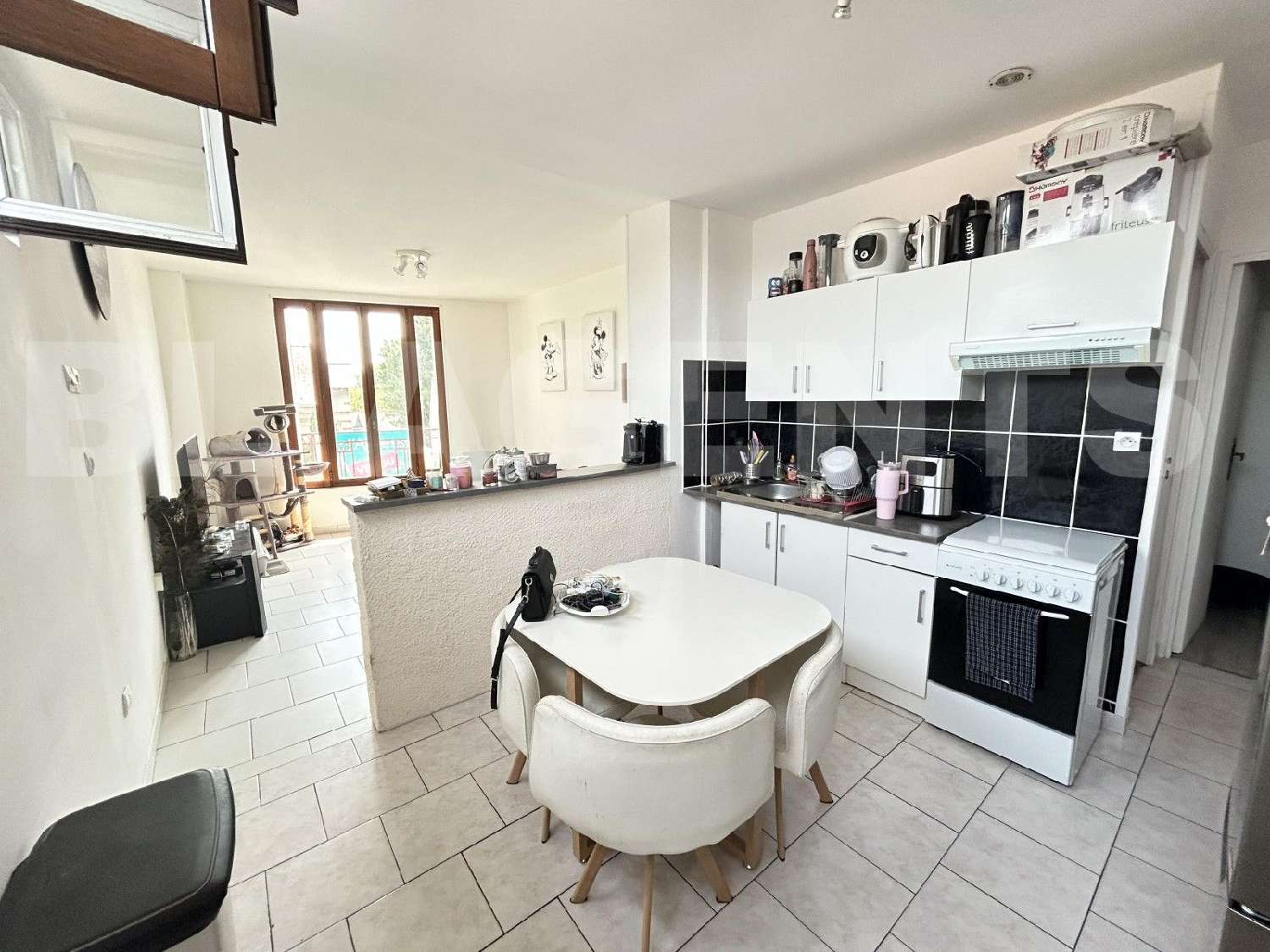 te koop appartement Migennes Yonne 1