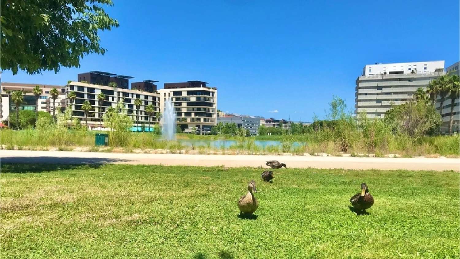 kaufen Wohnung/ Apartment Montpellier Hérault 2