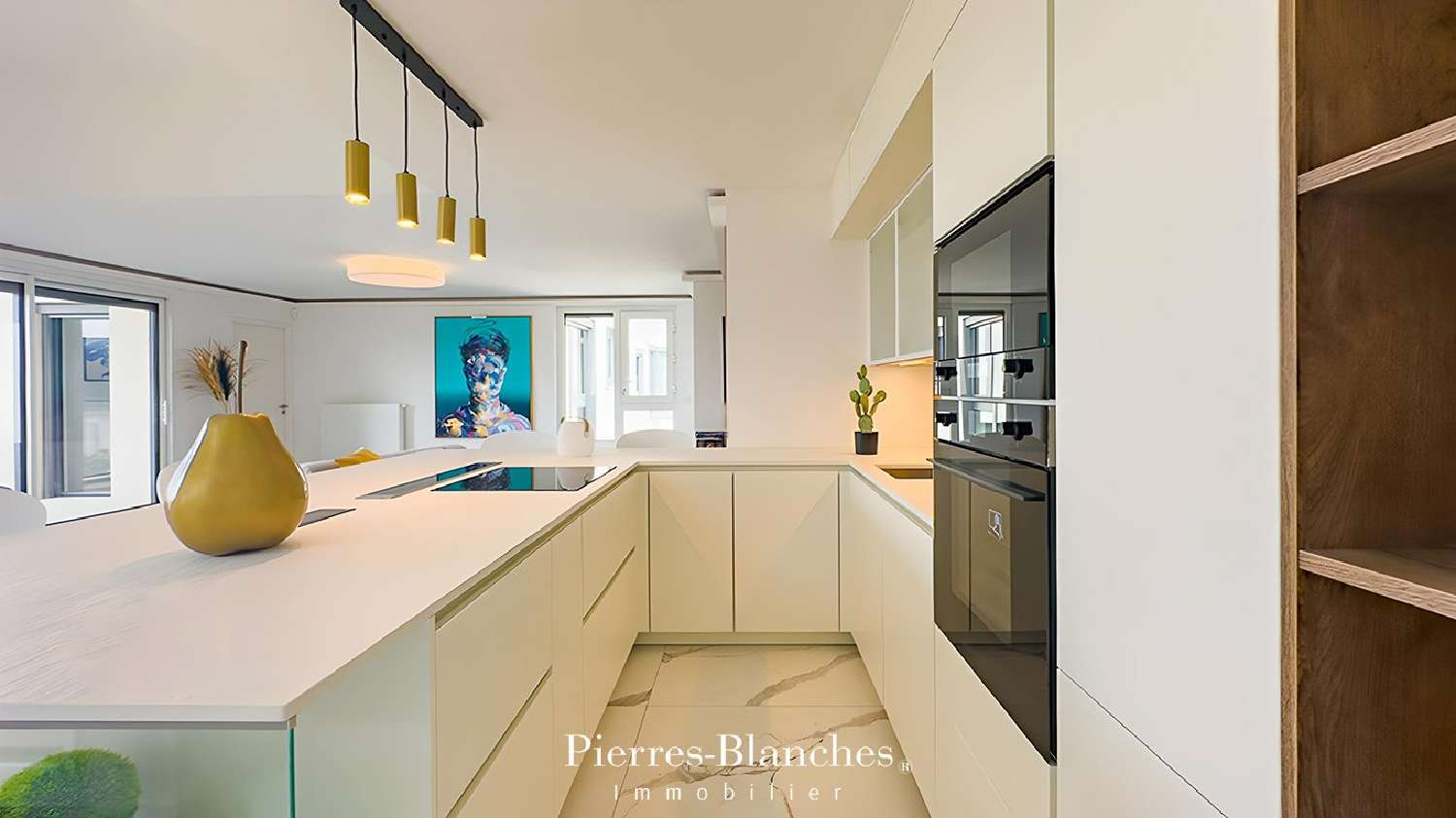  à vendre appartement Montpellier Hérault 6