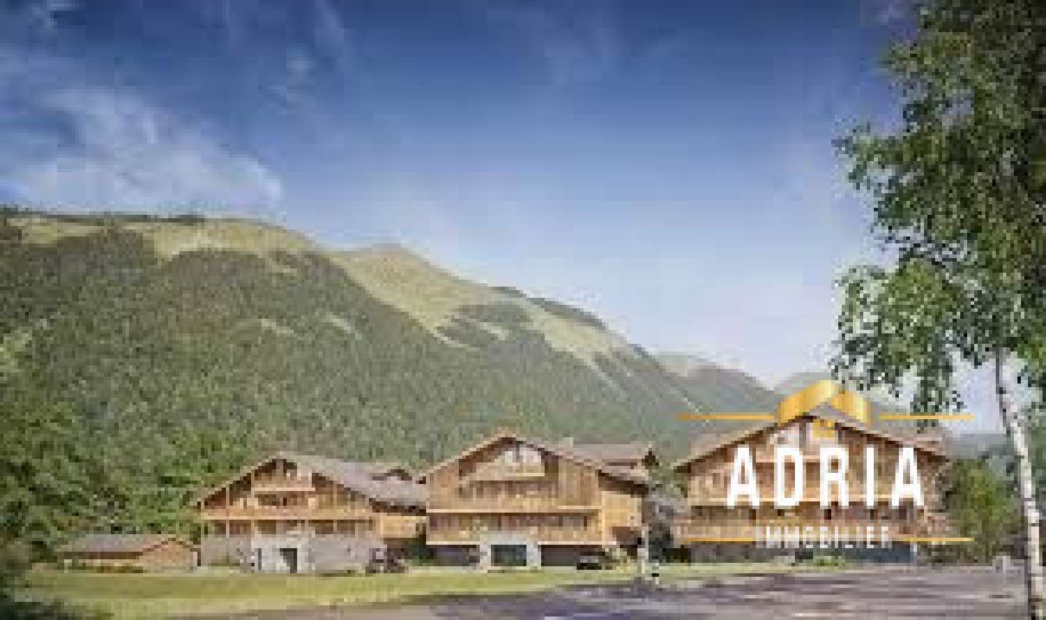  à vendre appartement Montriond Haute-Savoie 3