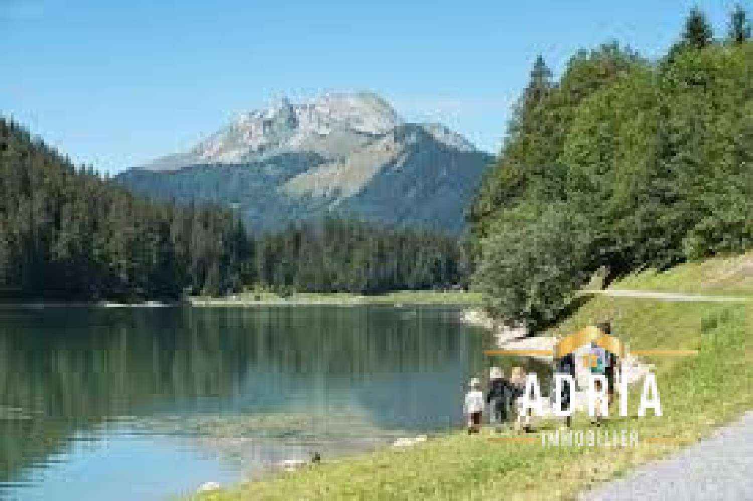  à vendre appartement Montriond Haute-Savoie 8