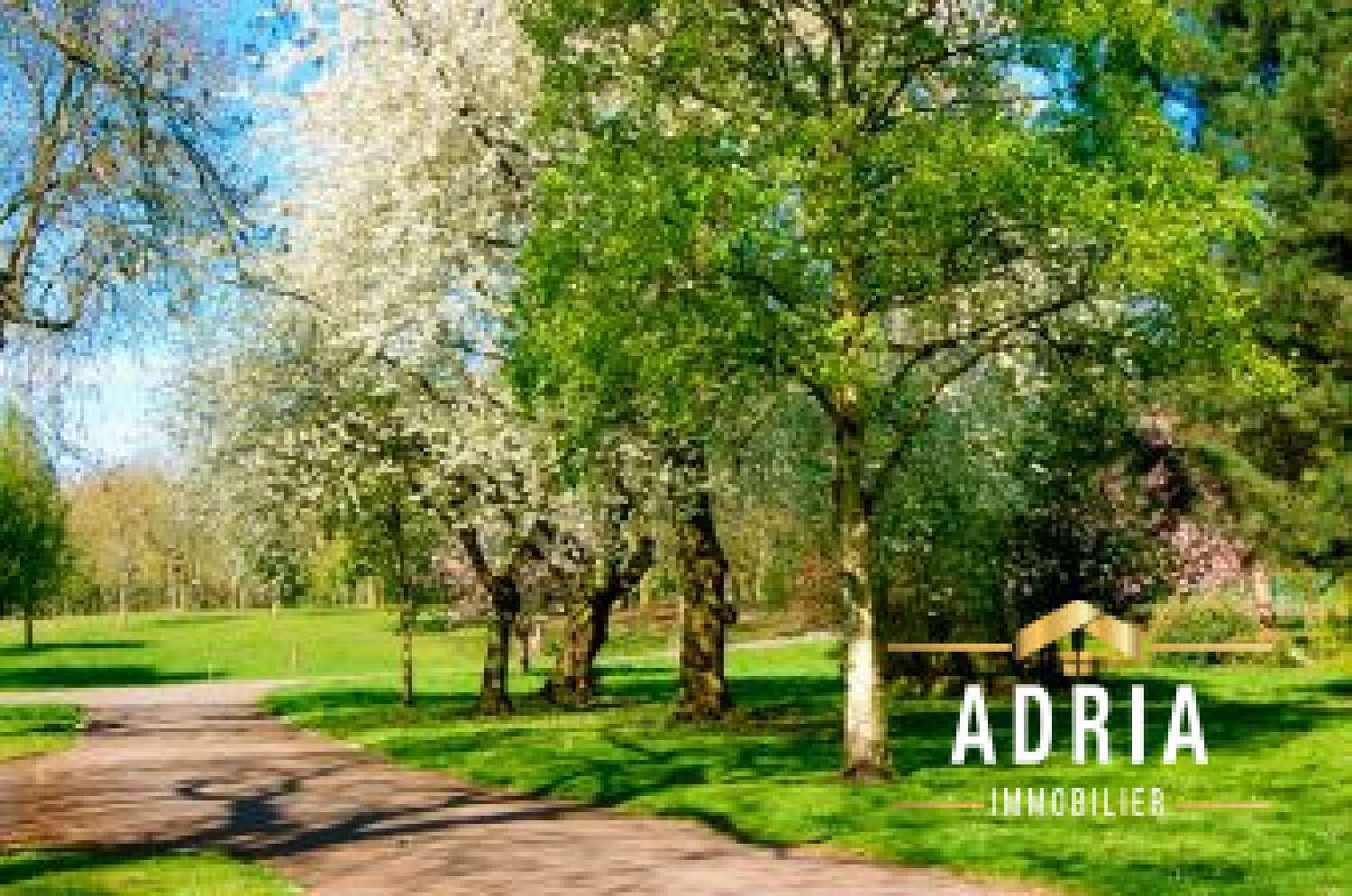  à vendre appartement Nancy Meurthe-et-Moselle 6