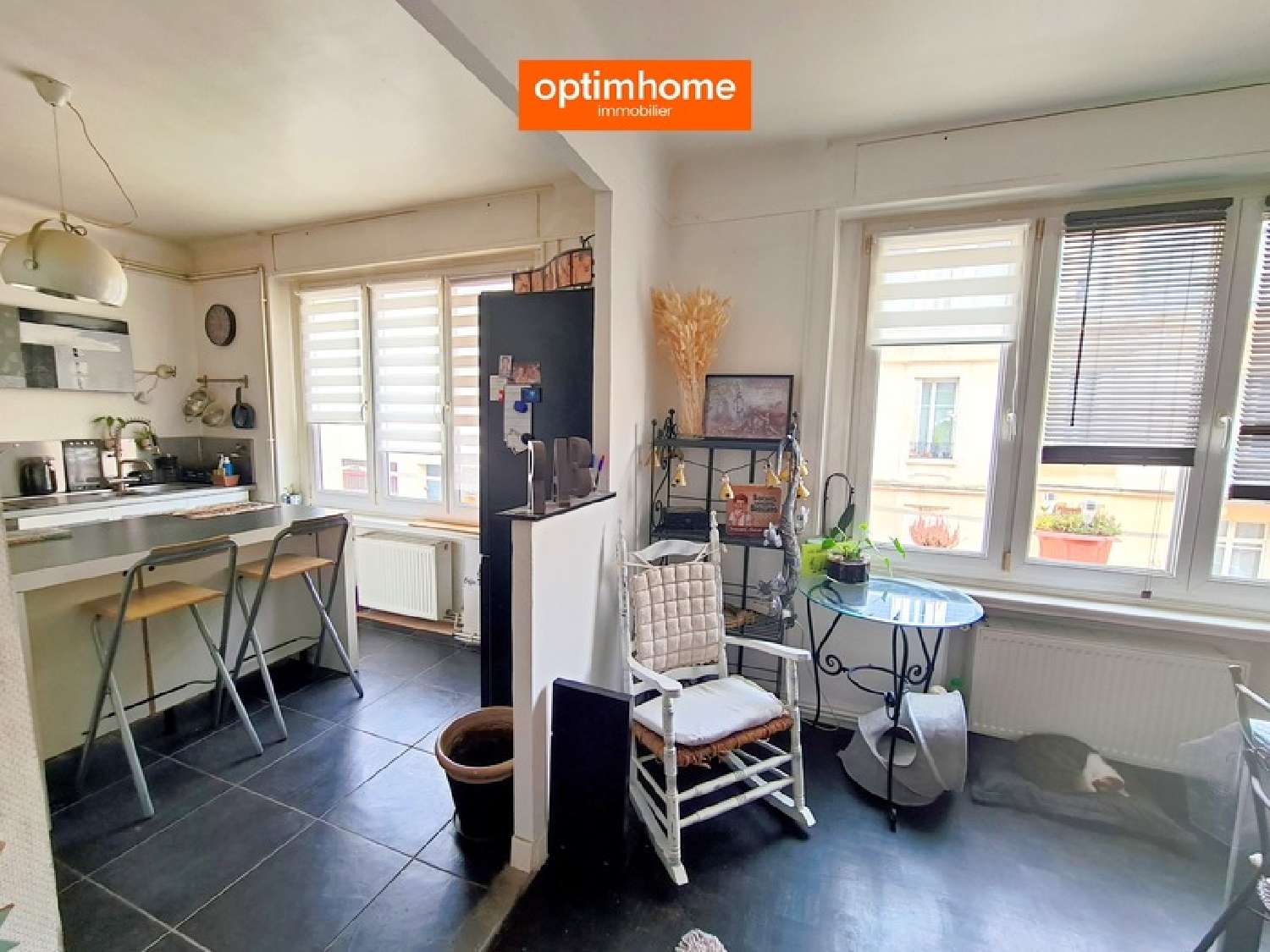 à vendre appartement Nancy Meurthe-et-Moselle 6