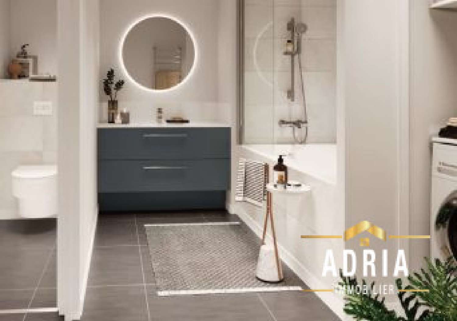 te koop appartement Orly Val-de-Marne 5