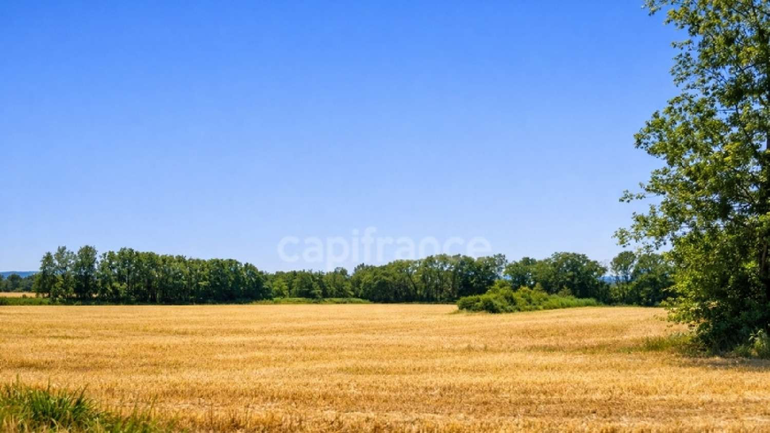  te koop appartement Ornex Ain 4