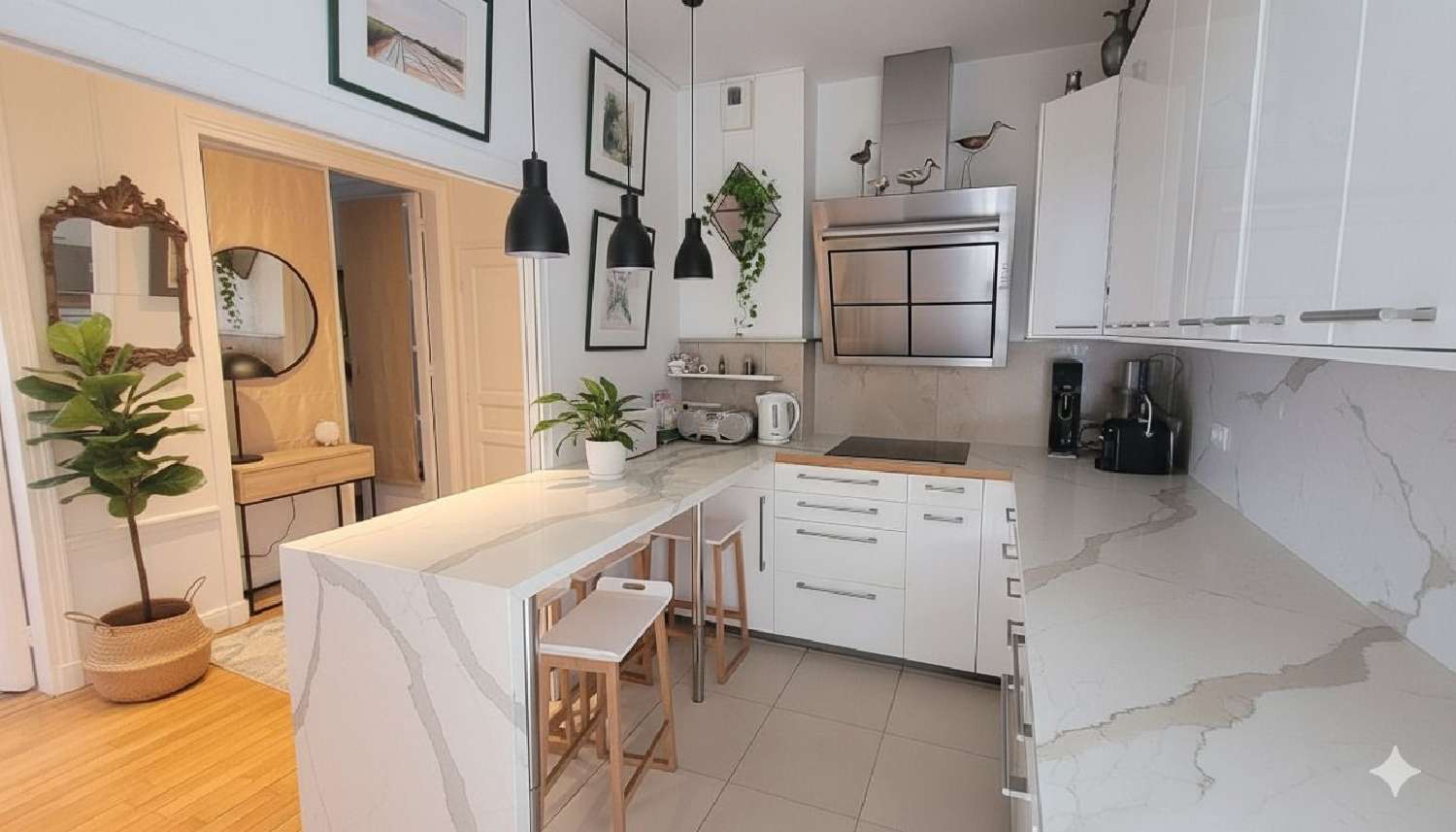  à vendre appartement Paris 16e Arrondissement Paris (Seine) 2