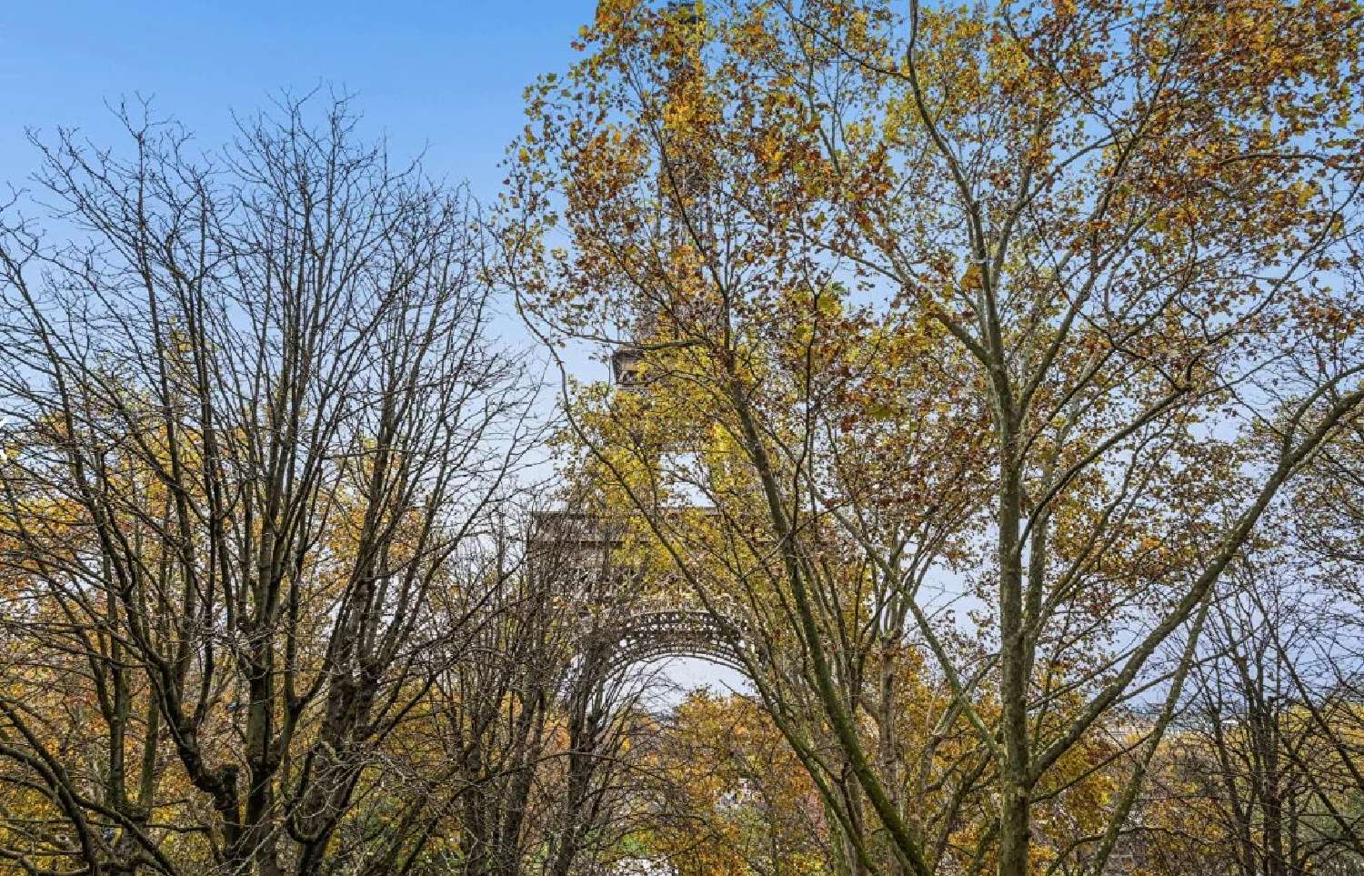  te koop appartement Paris 6e Arrondissement Parijs (Seine) 7