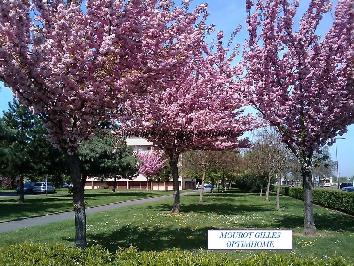  kaufen Wohnung/ Apartment Plappeville Moselle 1