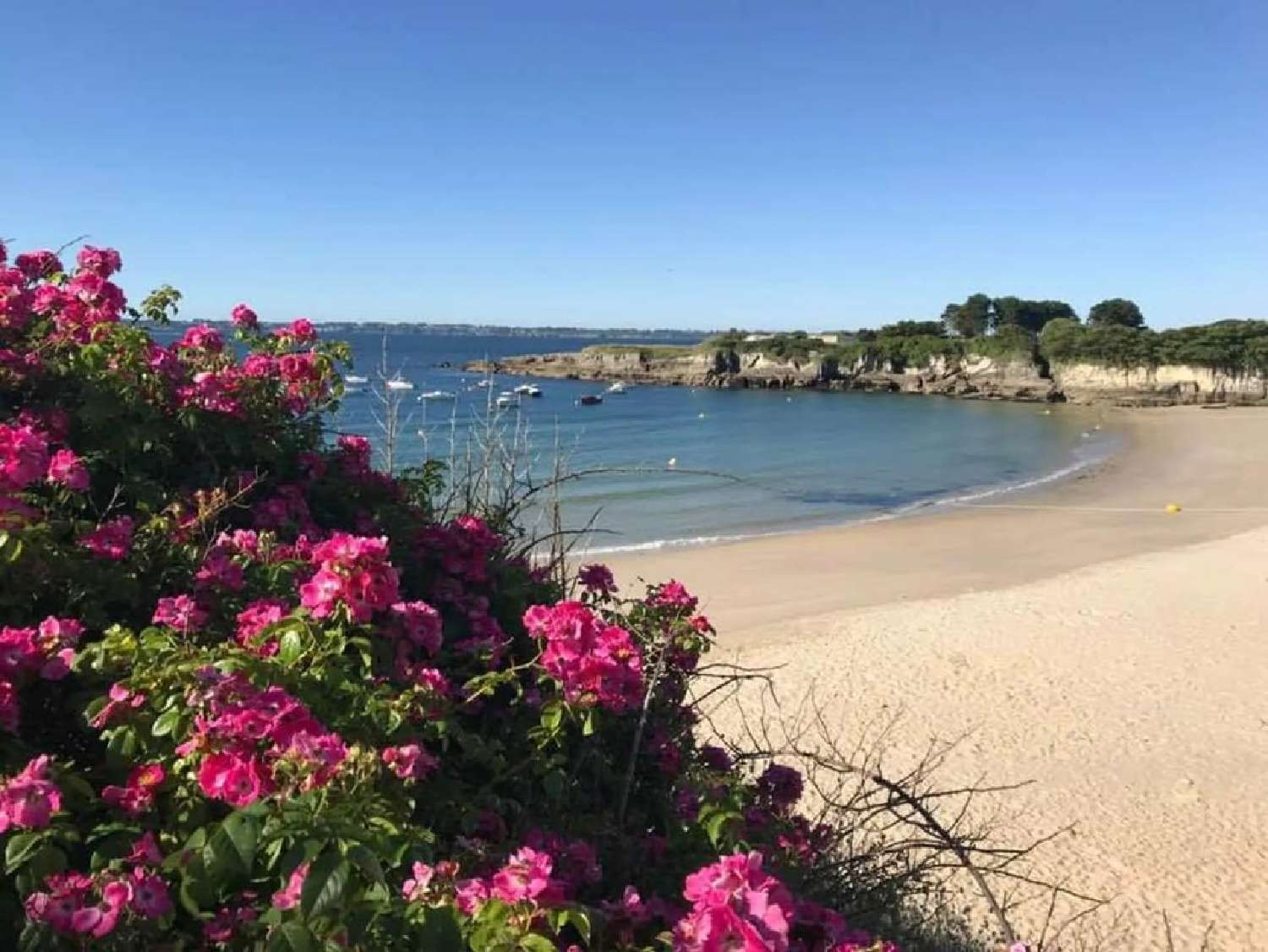 for sale apartment Ploemeur Morbihan 1