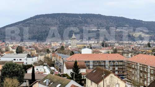 Remiremont Vogesen Wohnung/ Apartment Bild 7245092