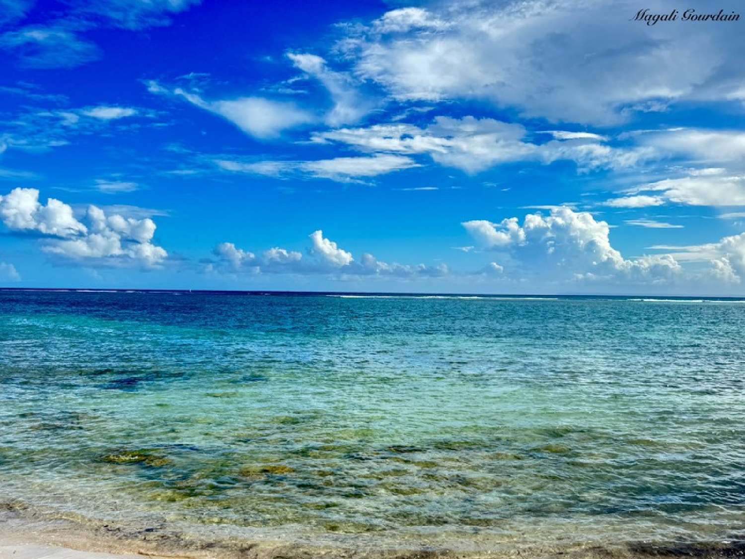  te koop appartement Saint-François Guadeloupe 7