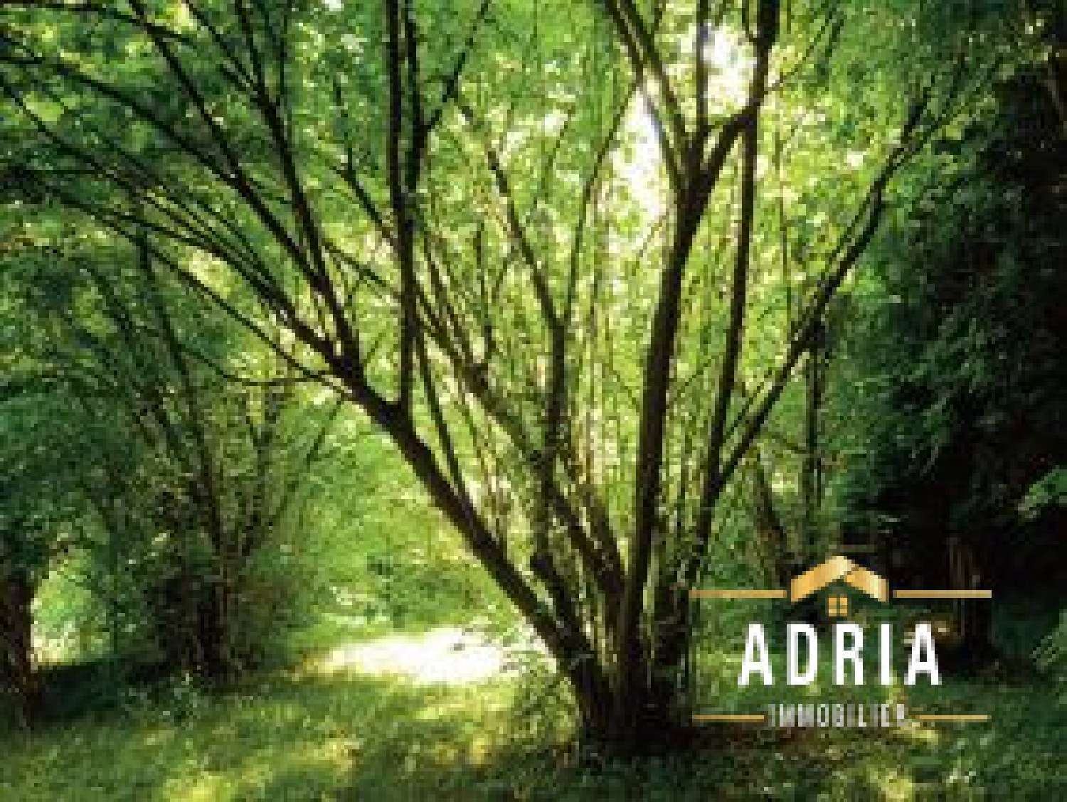  te koop appartement Saint-Germain-en-Laye Yvelines 6