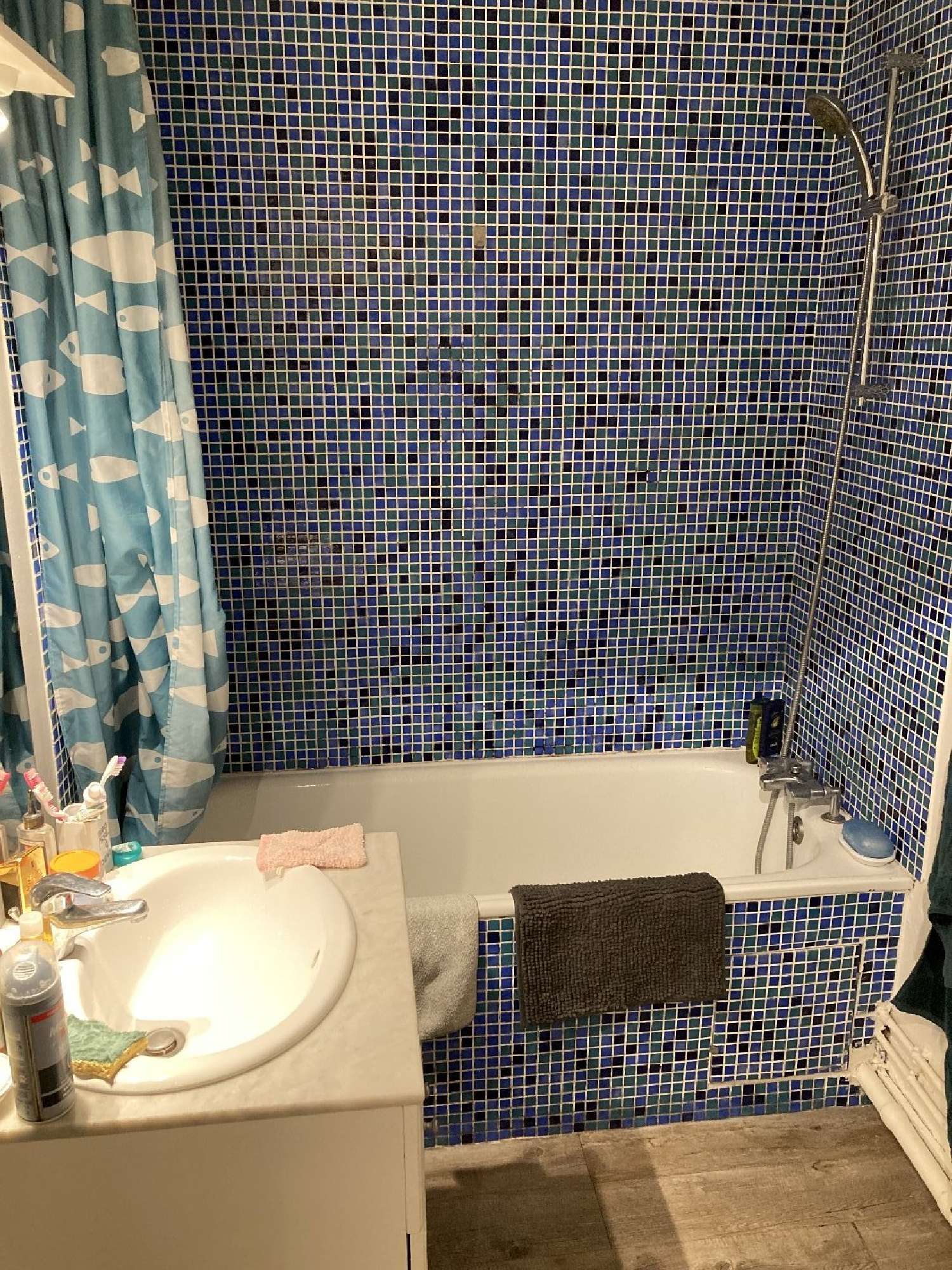  kaufen Wohnung/ Apartment Saint-Jean-de-Luz Pyrénées-Atlantiques 4