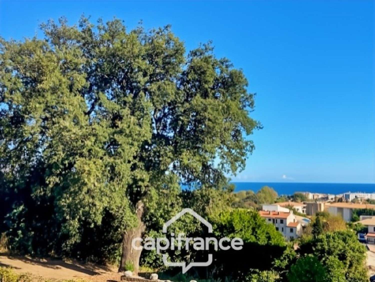 te koop appartement Santa-Lucia-di-Moriani Haute-Corse 1