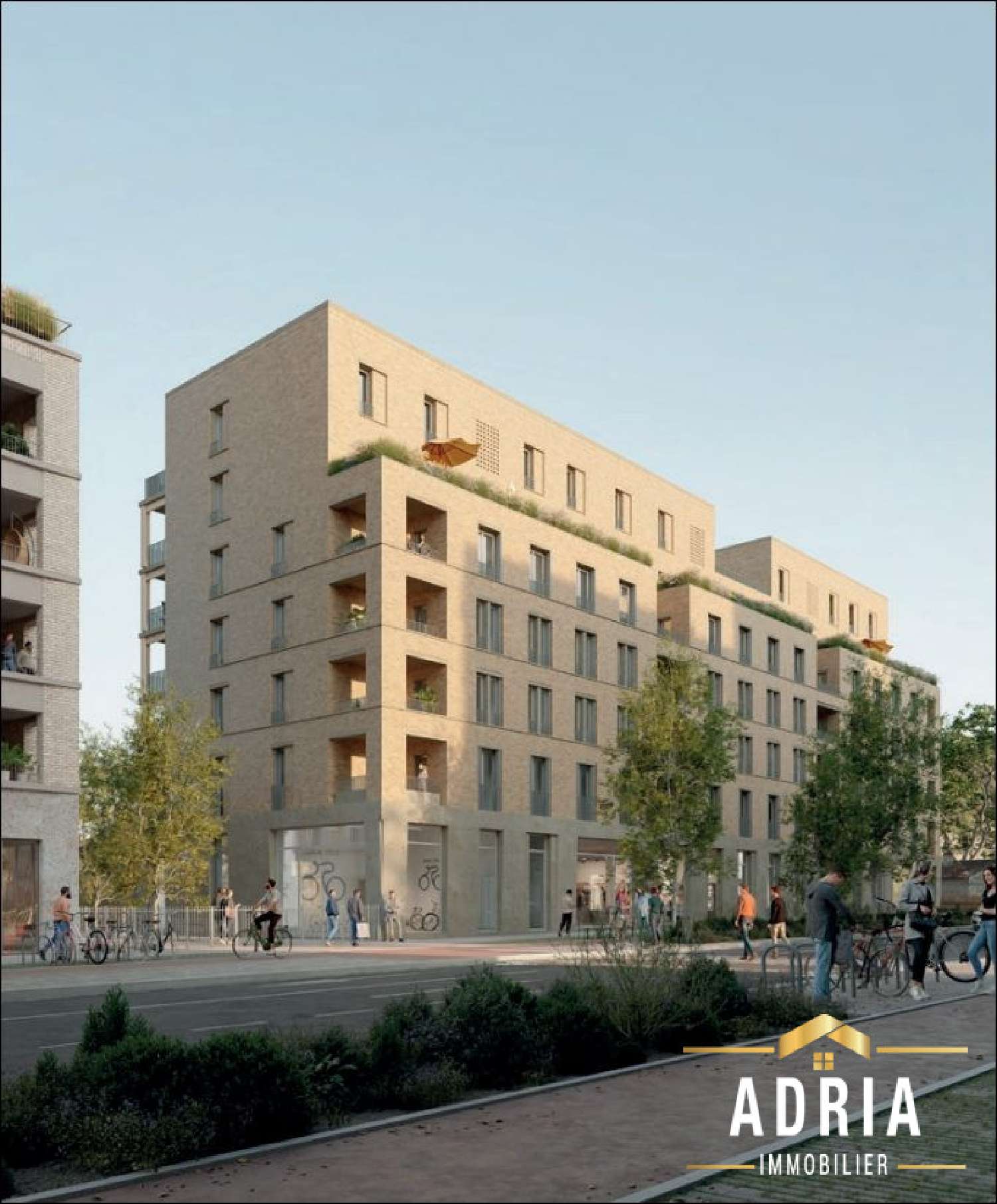  te koop appartement Toulouse 31500 Haute-Garonne 3