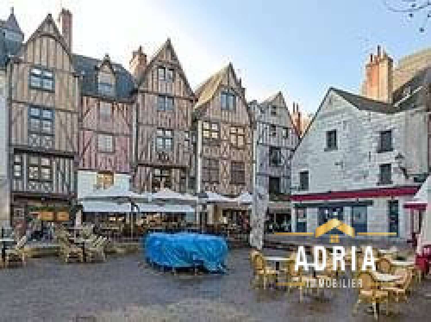  te koop appartement Tours Indre-et-Loire 7