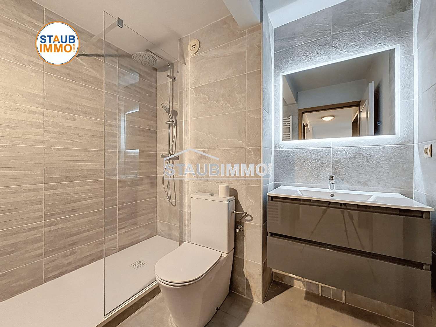  te koop appartement Village-Neuf Haut-Rhin 7