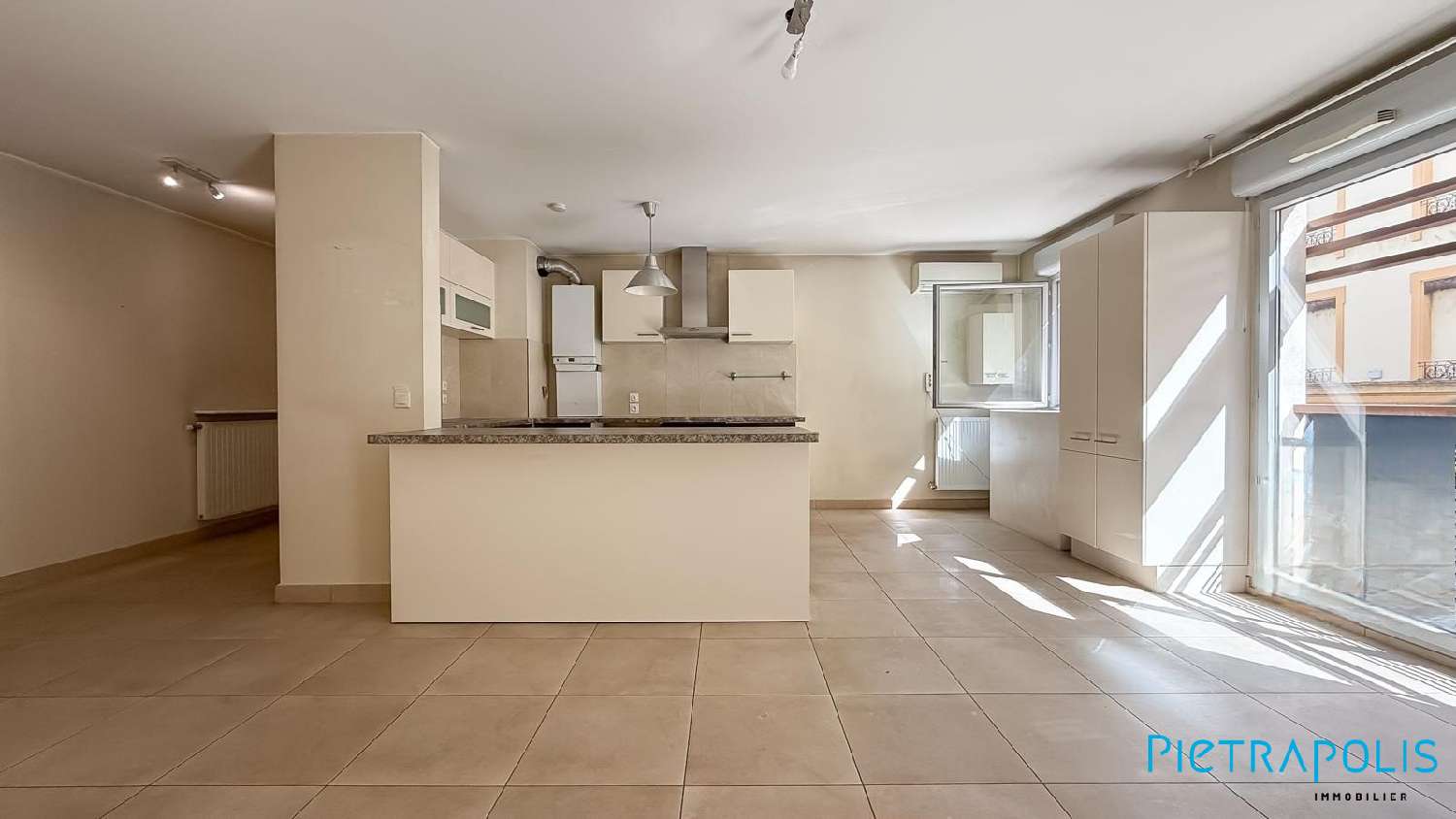  te koop appartement Villeurbanne Rhône 1