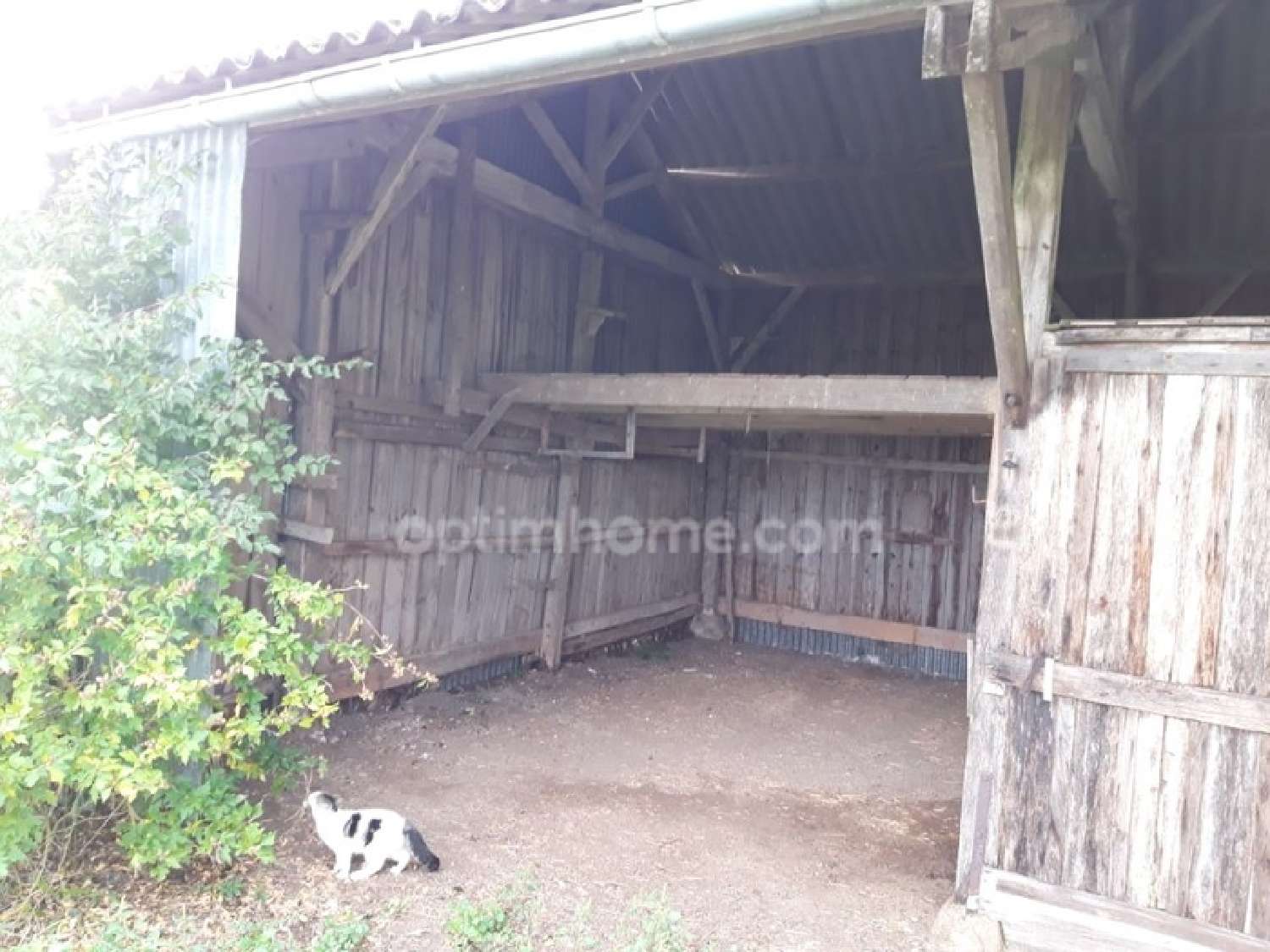  te koop schuur Sérigny Vienne 4