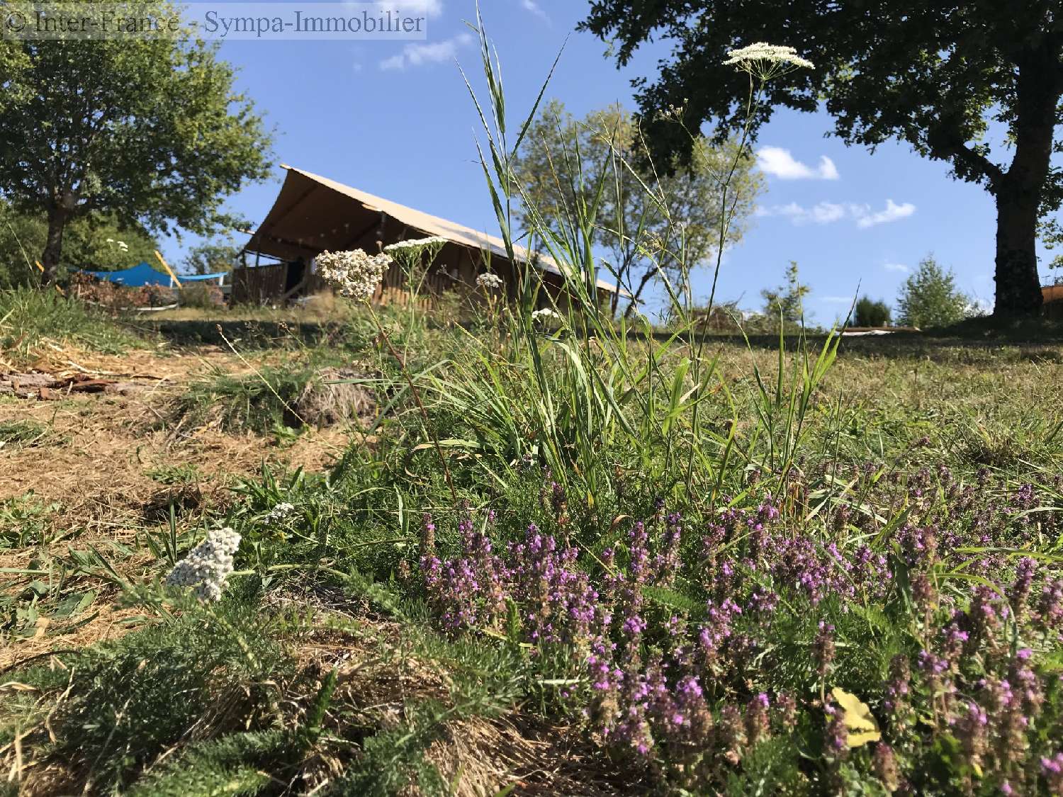  te koop camping Limoges Haute-Vienne 2