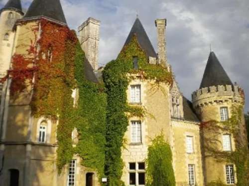 Tours Indre-et-Loire Schloss Bild 7237509