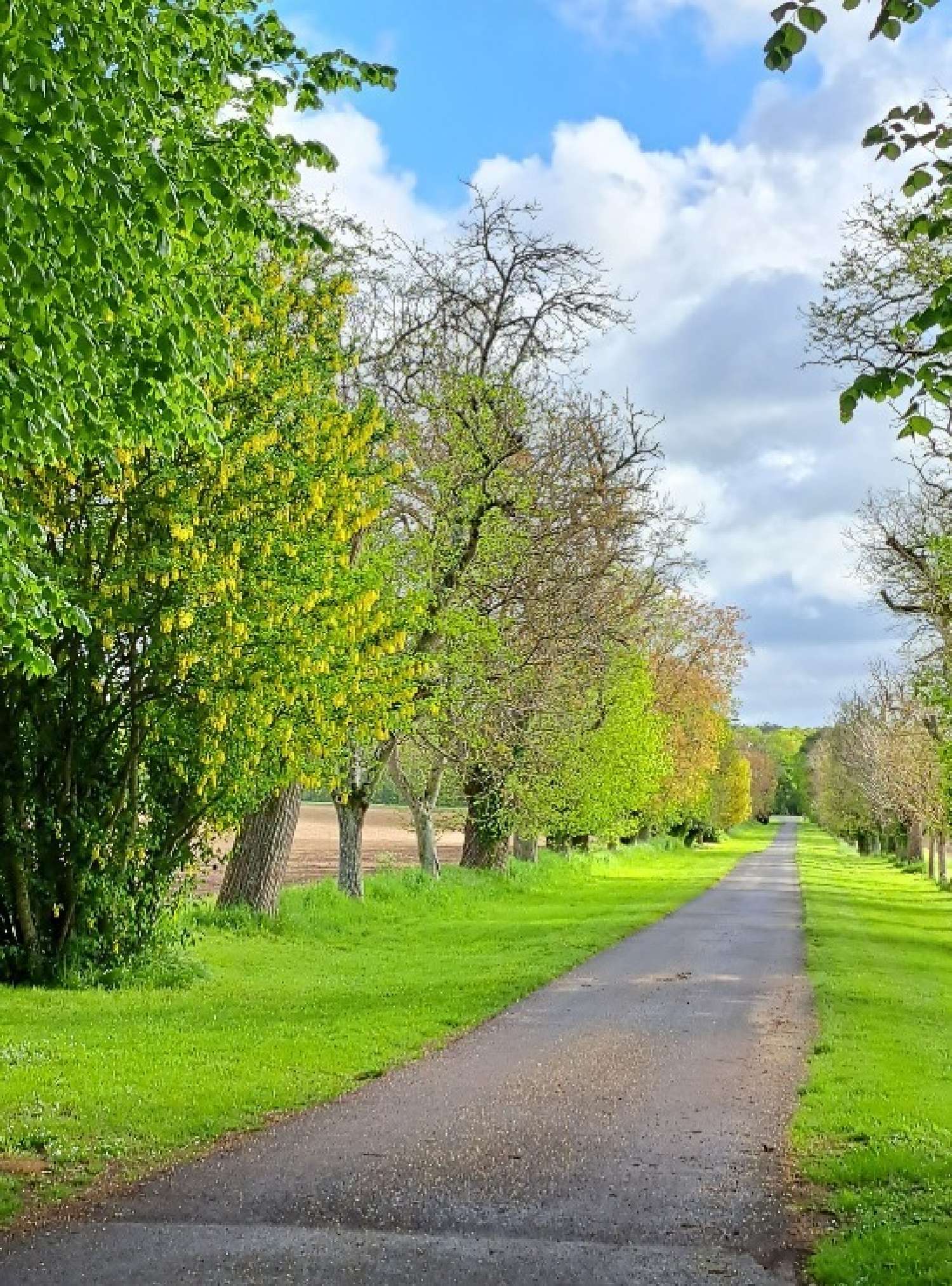  à vendre château Tours Indre-et-Loire 6