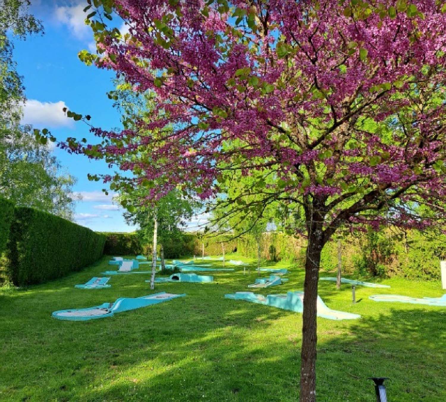  à vendre château Tours Indre-et-Loire 8