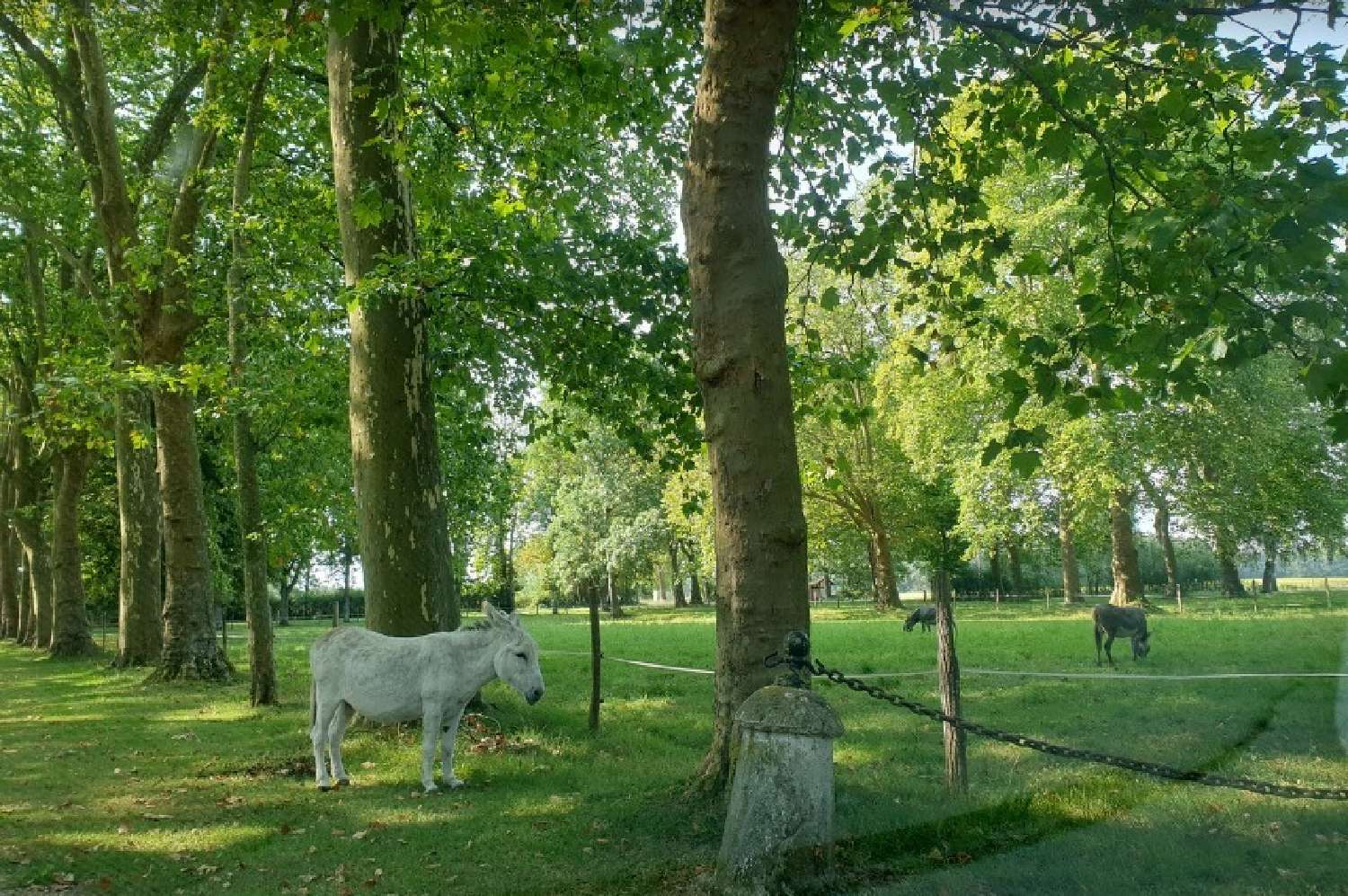  kaufen Schloss Vendôme Loir-et-Cher 5