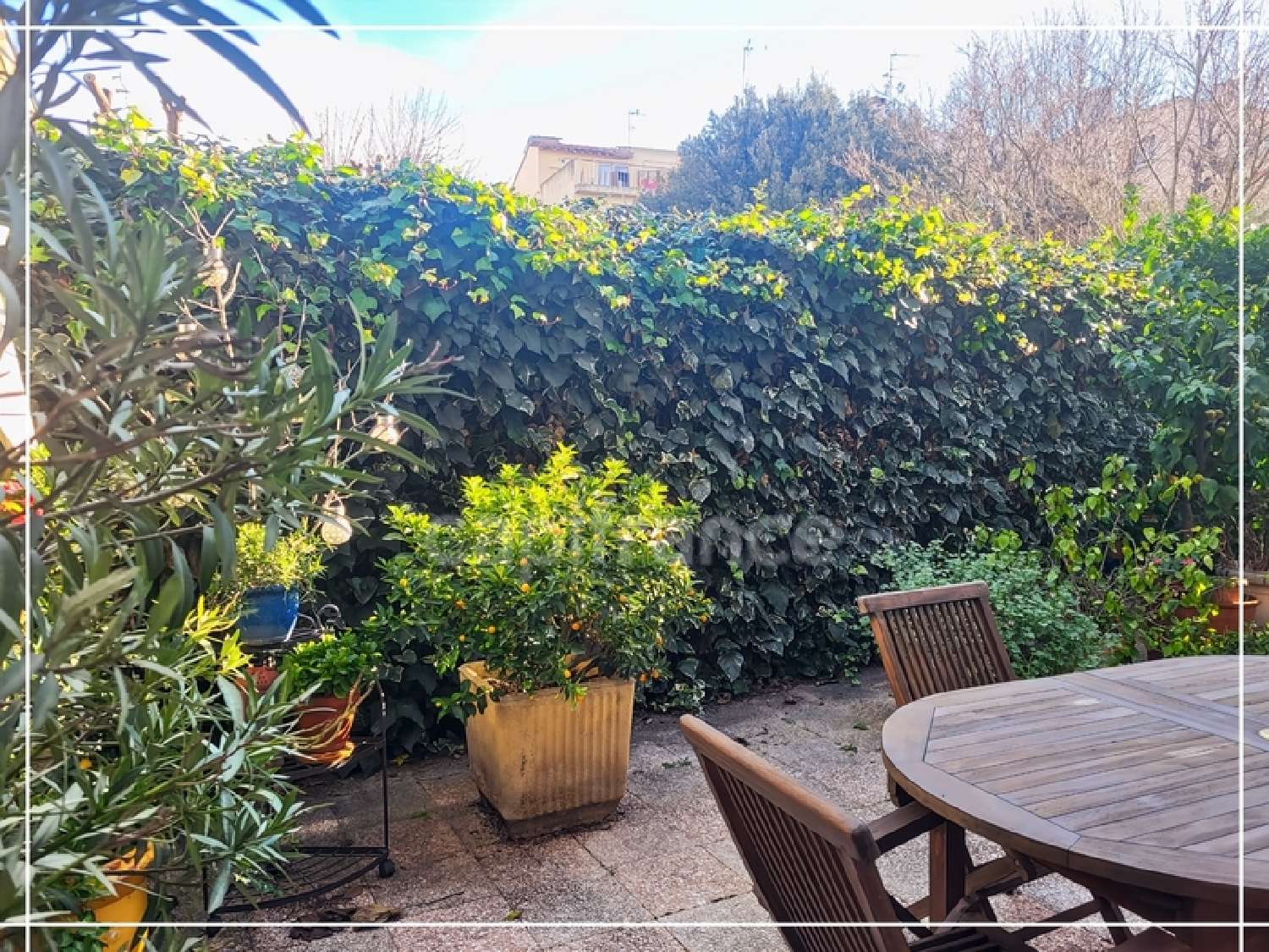  en venta casa urbana Perpignan Pirineo Oriental 6