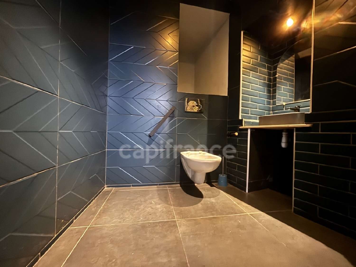  te koop bedrijfsruimte/ kantoor Cannes Alpes-Maritimes 5