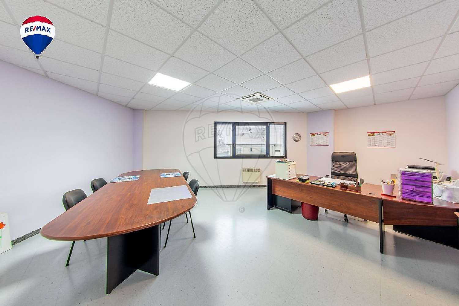  for sale commercial Habsheim Haut-Rhin 8