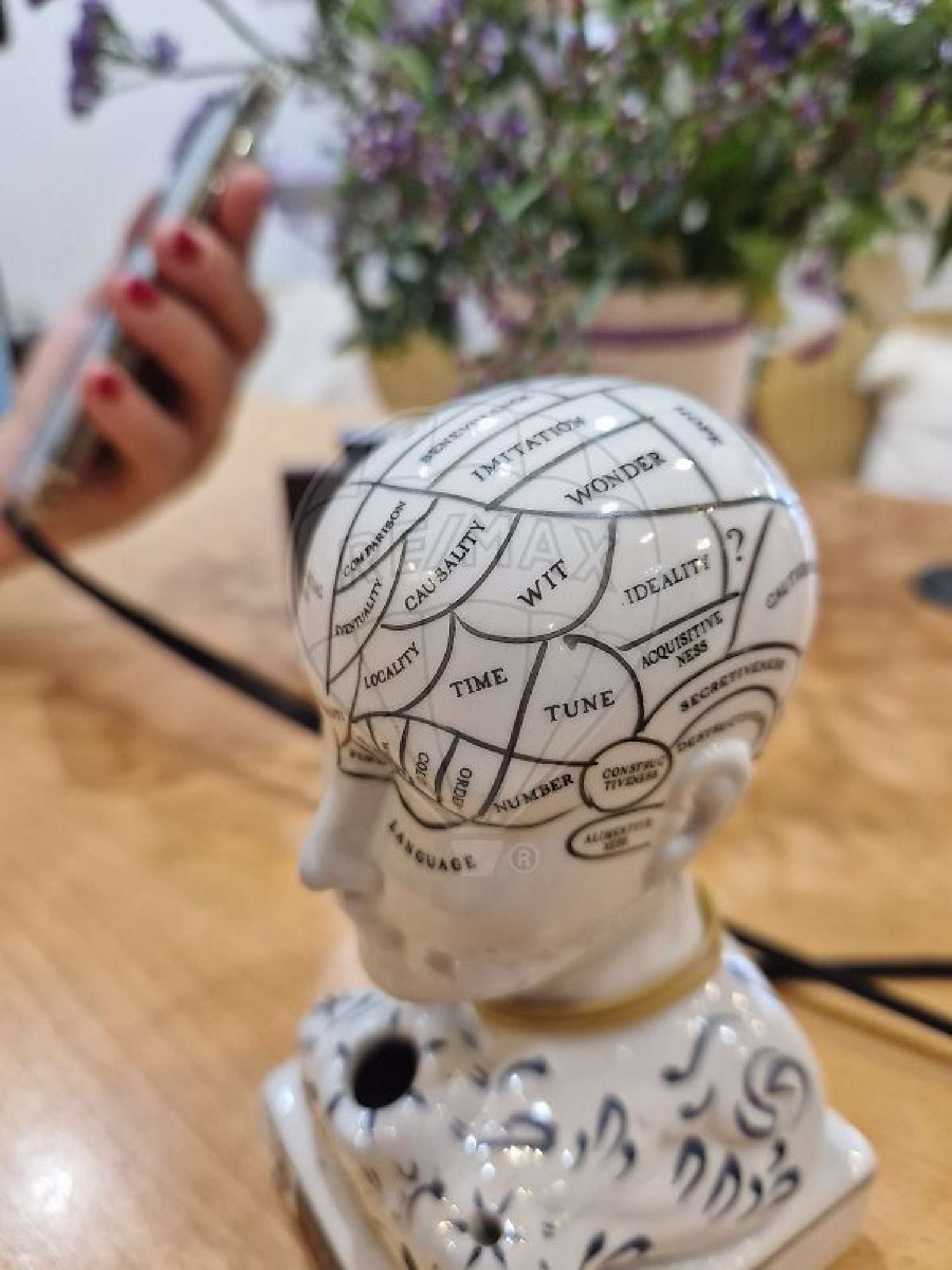  à vendre commerce La Panouse Bouches-du-Rhône 6