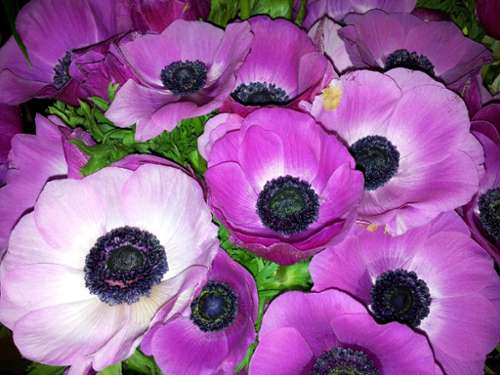 La Queue-en-Brie Val-de-Marne bedrijfsruimte/ kantoor foto 7247422