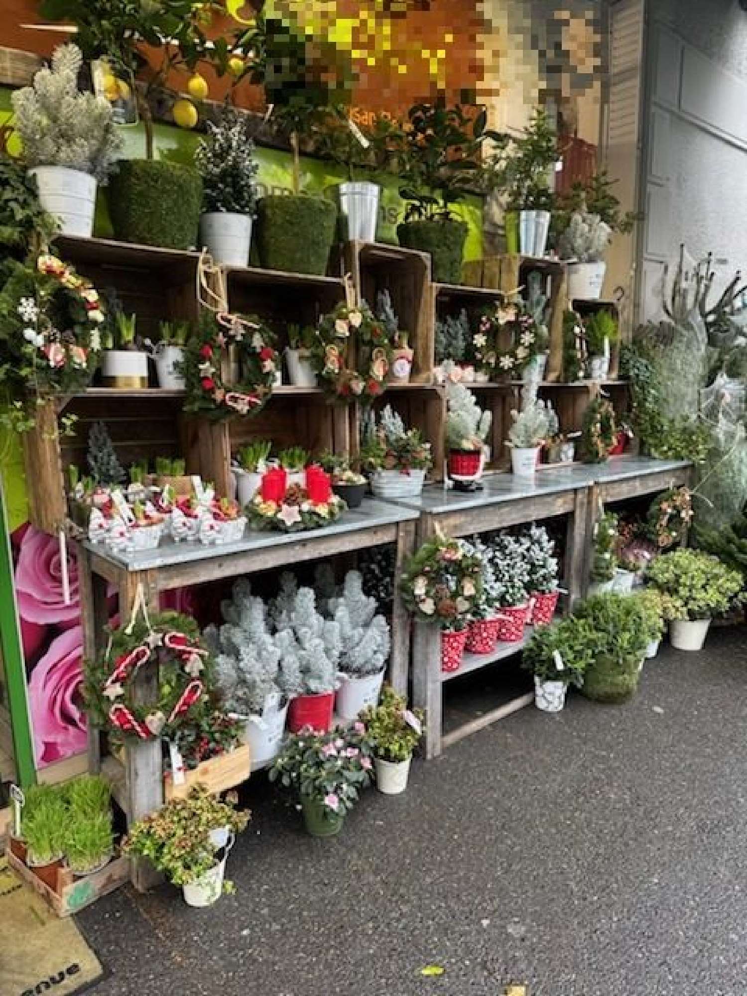 te koop bedrijfsruimte/ kantoor La Queue-en-Brie Val-de-Marne 2