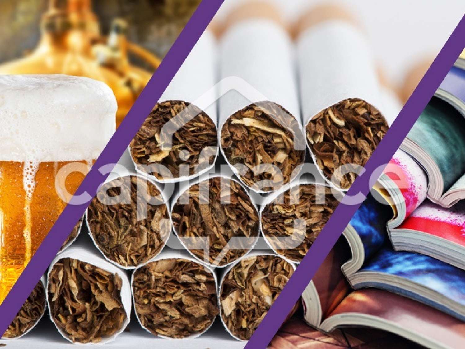 te koop bedrijfsruimte/ kantoor Le Temple-sur-Lot Lot-et-Garonne 1