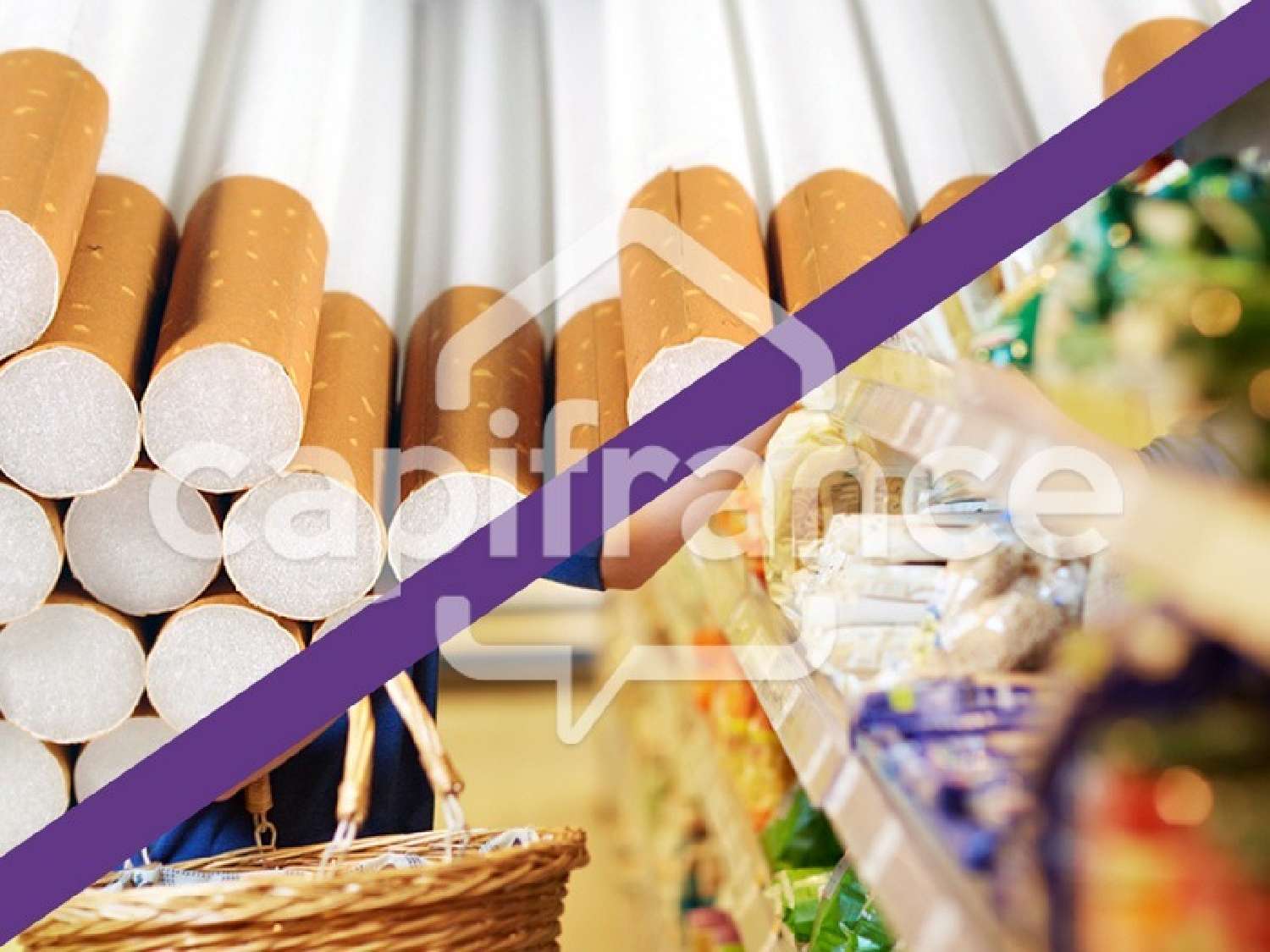 te koop bedrijfsruimte/ kantoor Le Temple-sur-Lot Lot-et-Garonne 2