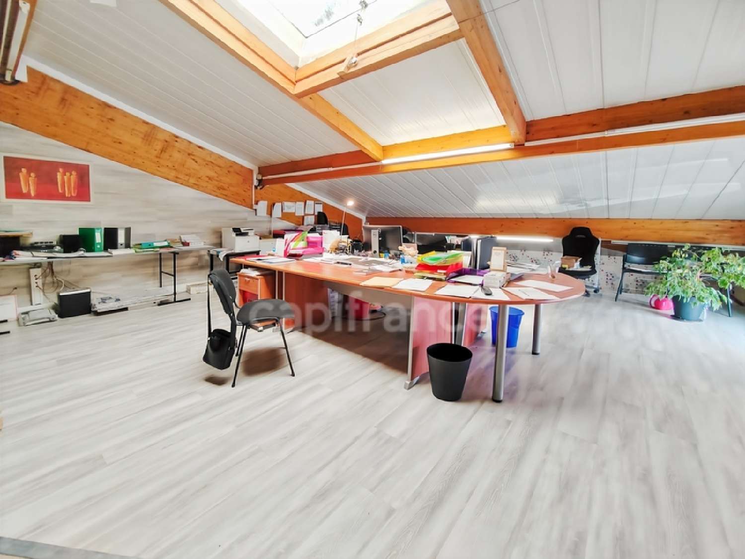  te koop bedrijfsruimte/ kantoor Lux Saône-et-Loire 8