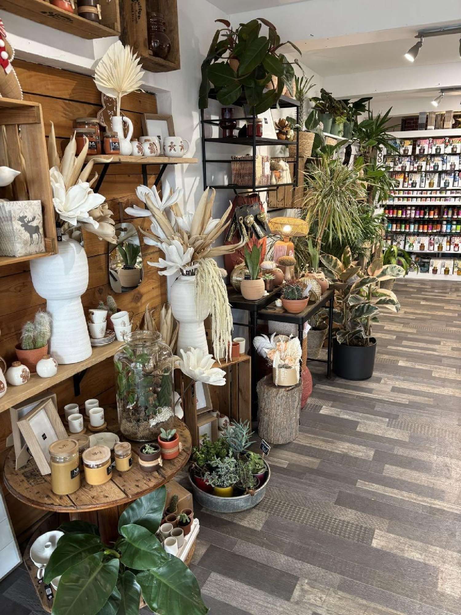 à vendre commerce Plan-de-Cuques Bouches-du-Rhône 3