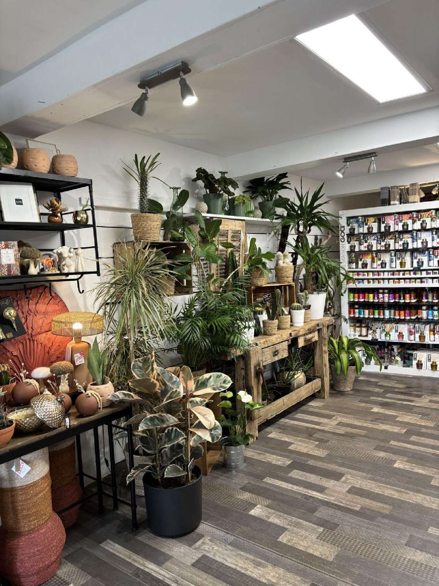 à vendre commerce Plan-de-Cuques Bouches-du-Rhône 4